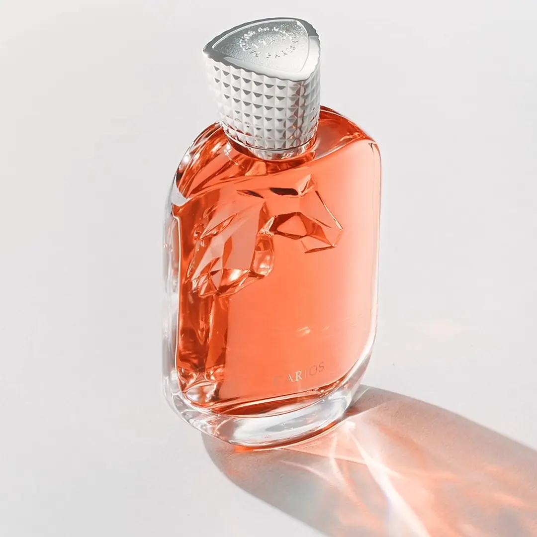 CARIOS - videoframe_1256.webp