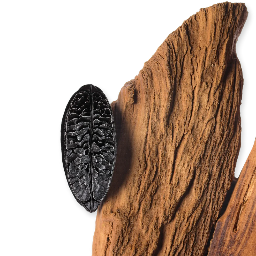 CARLISLE - CARLISLE-PERFUME-125-PACK4-1x1_3_547f00bd-9761-4353-8833-5348206cb166.webp