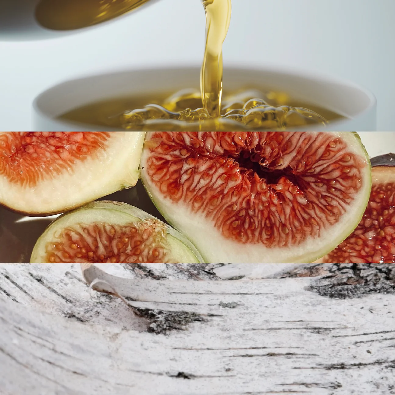 CASA BLANCA - CBLIngredients_1296x.webp