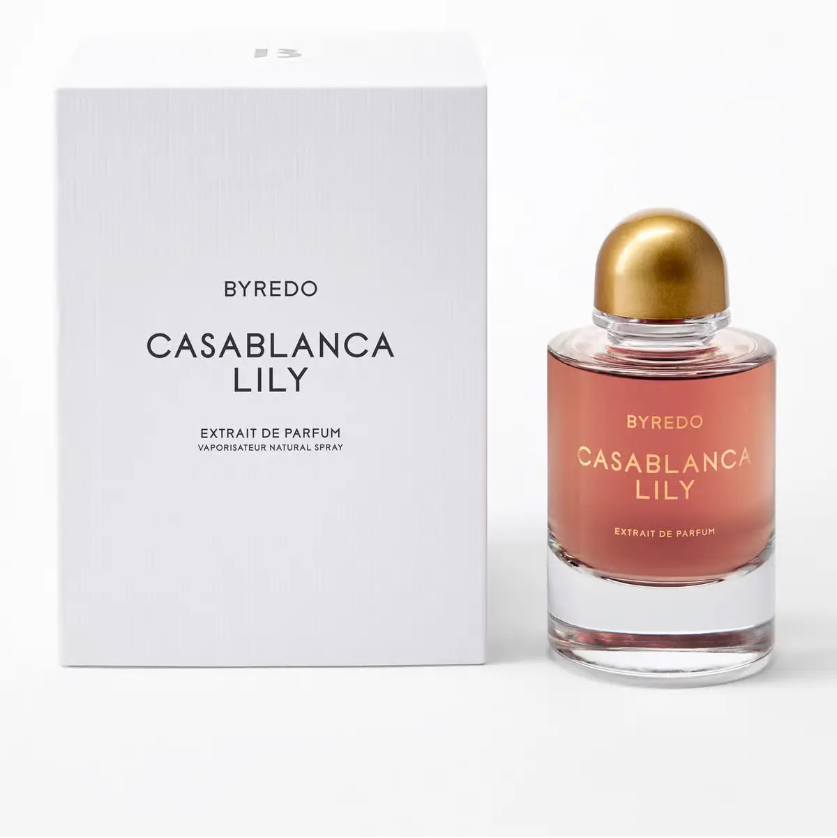 CASABLANCA LILY - byr_ecom_nv_casablanca_lily_2800x2800_04_new.webp