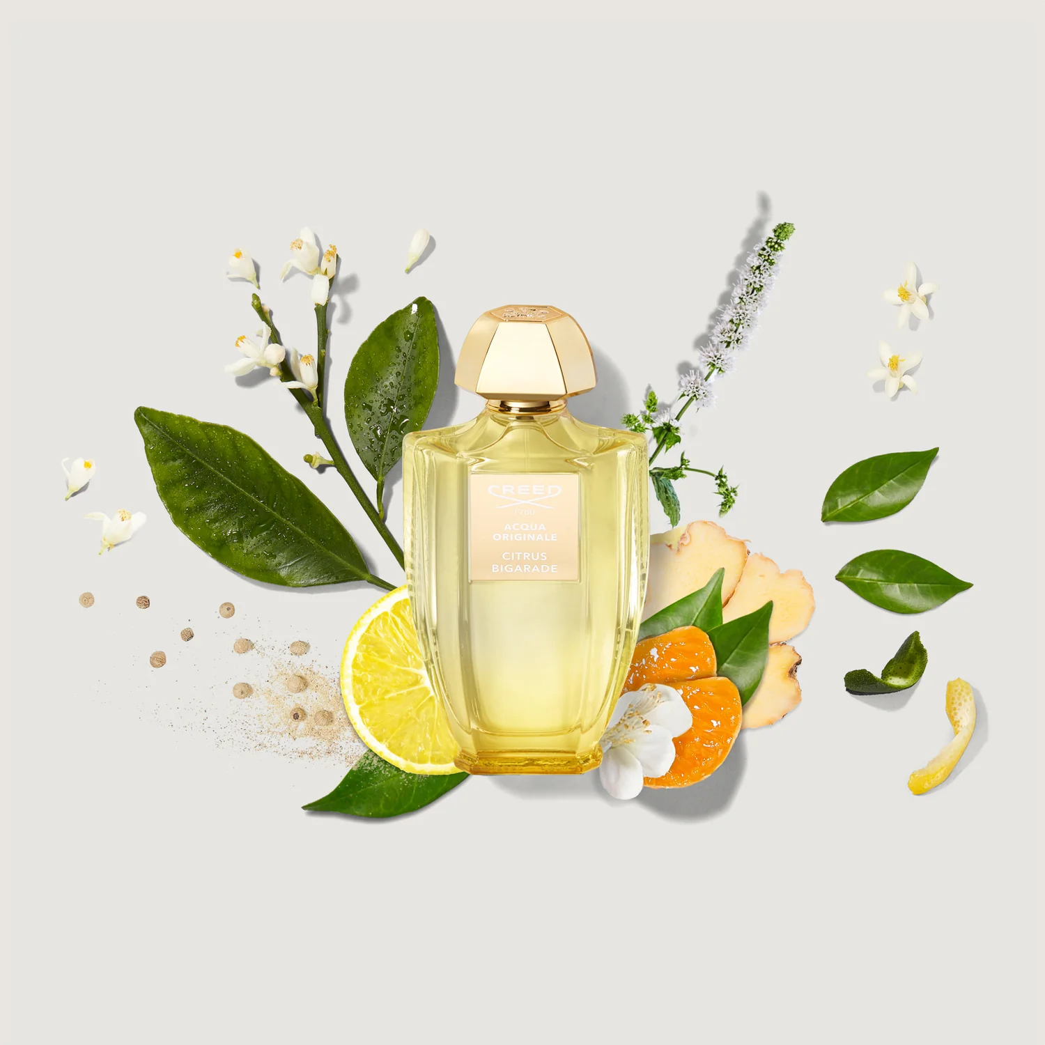 Citrus Bigarade - citrus-bigarade-ingredients.webp