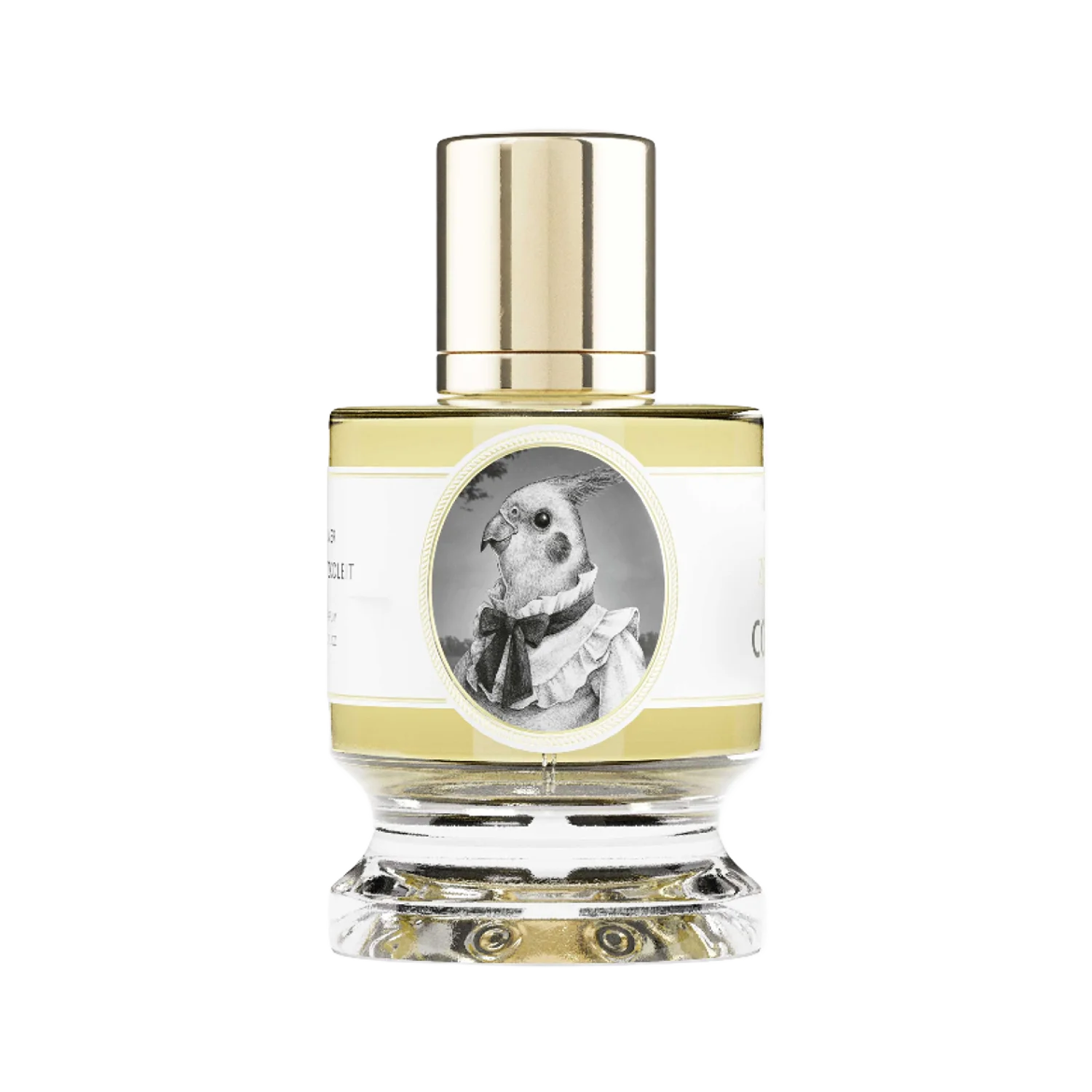 COCKATIEL - zoologist-cockatiel-merged-1-1767200060222.png