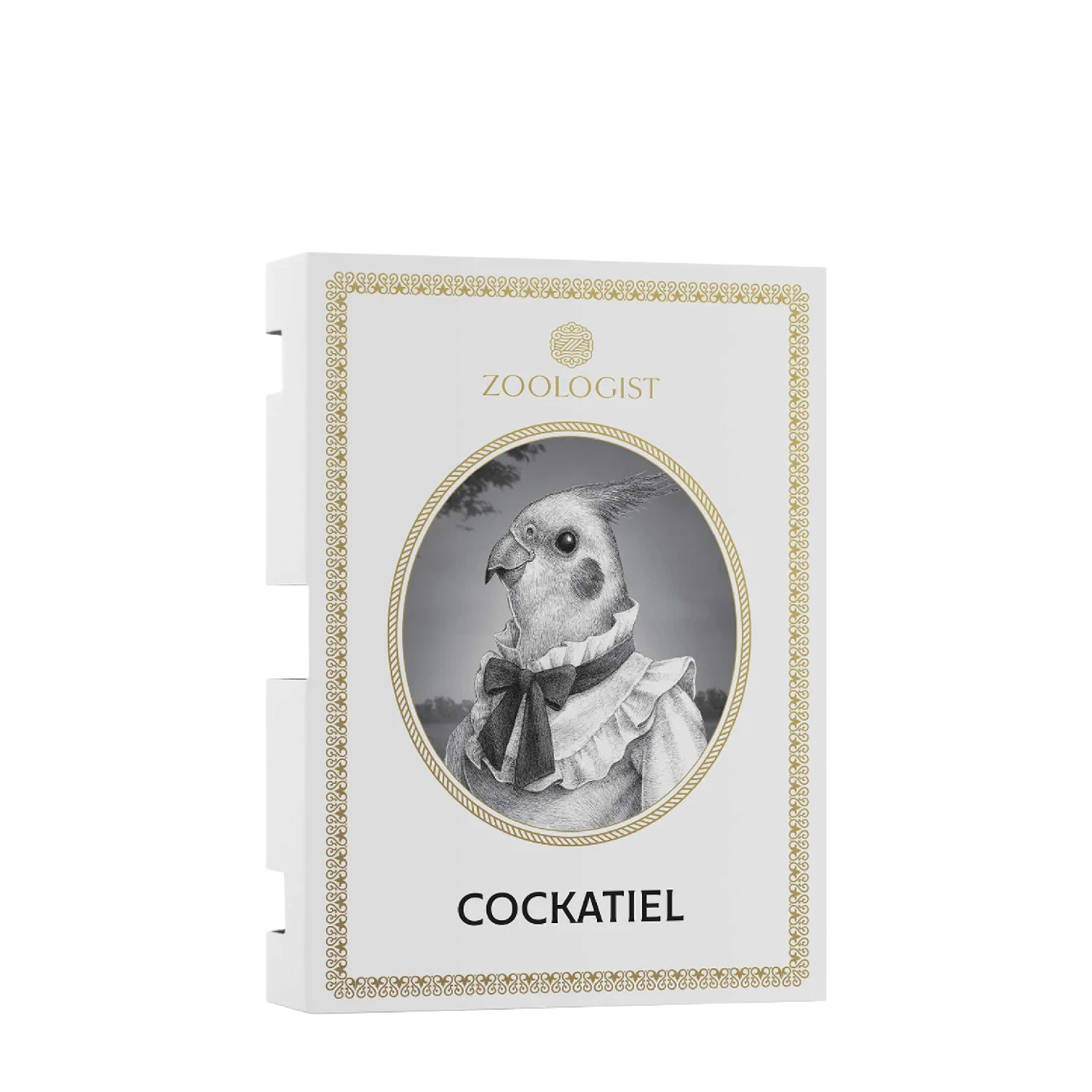 COCKATIEL - zoologist-cockatiel-merged-4-1767200248184.png