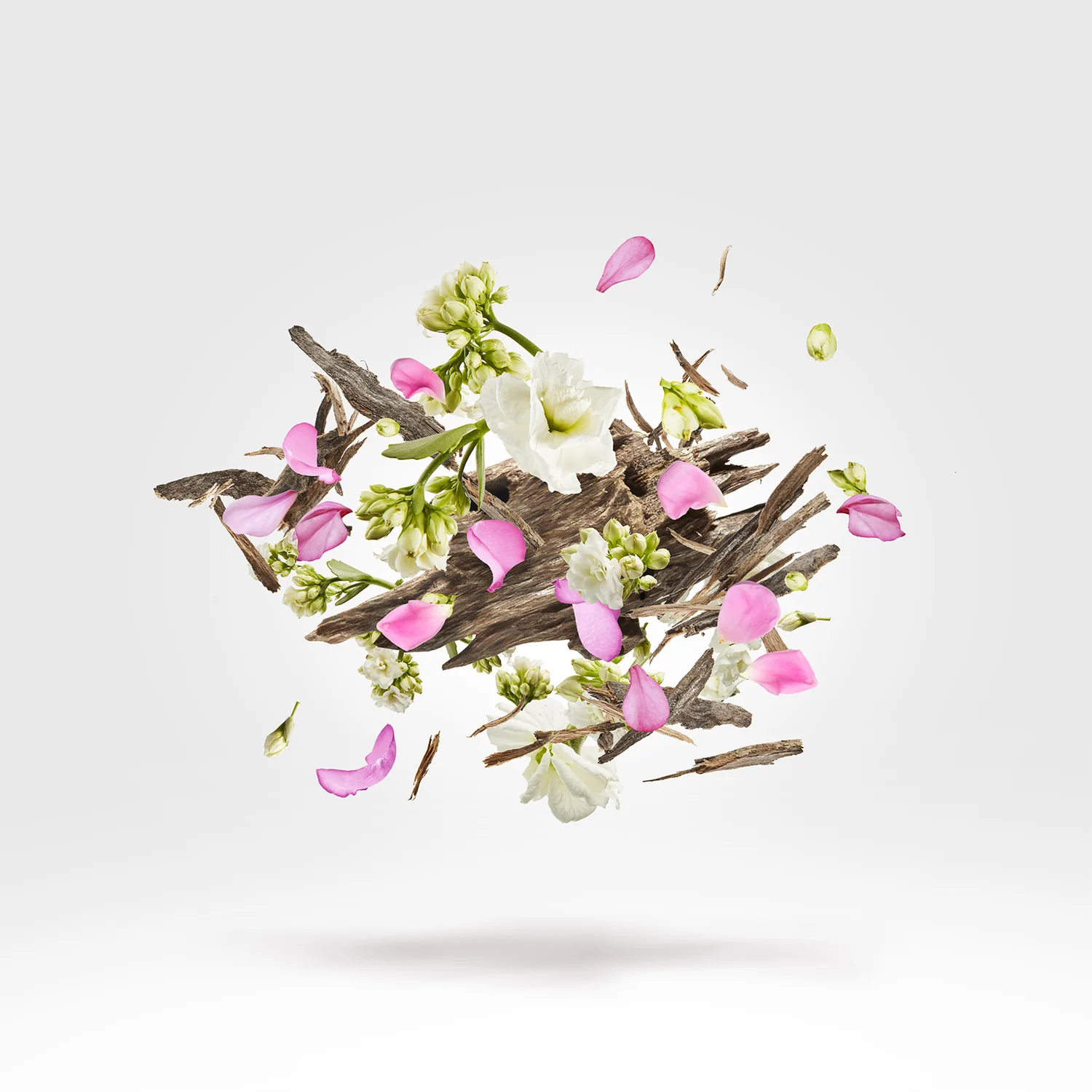 COEXISTENCE - xerjoff-coexistence-notes.webp