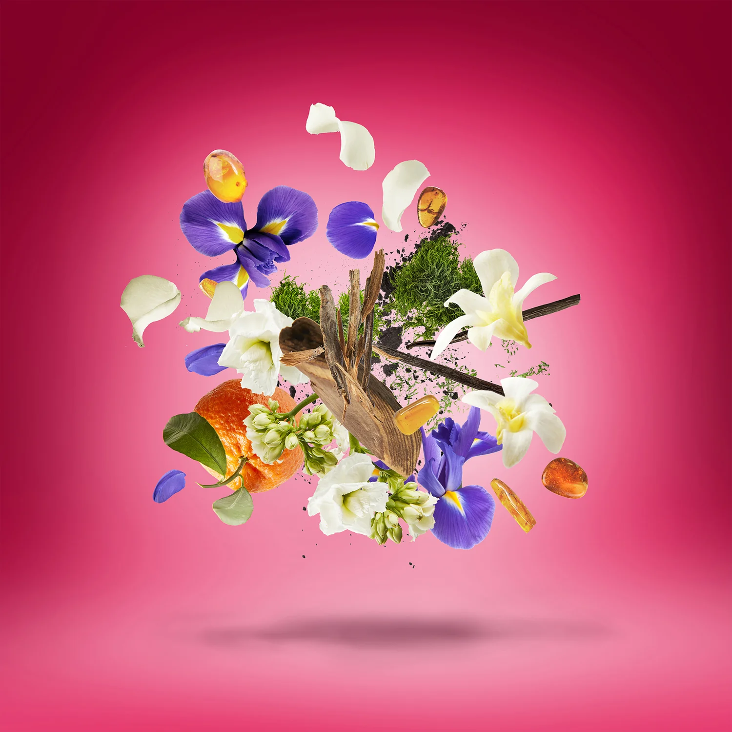 CORO - xerjoff-coro-notes.webp