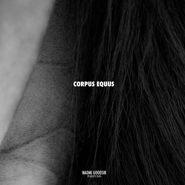 CORPUS EQUUS - NGPCEblacktail_1080x.webp