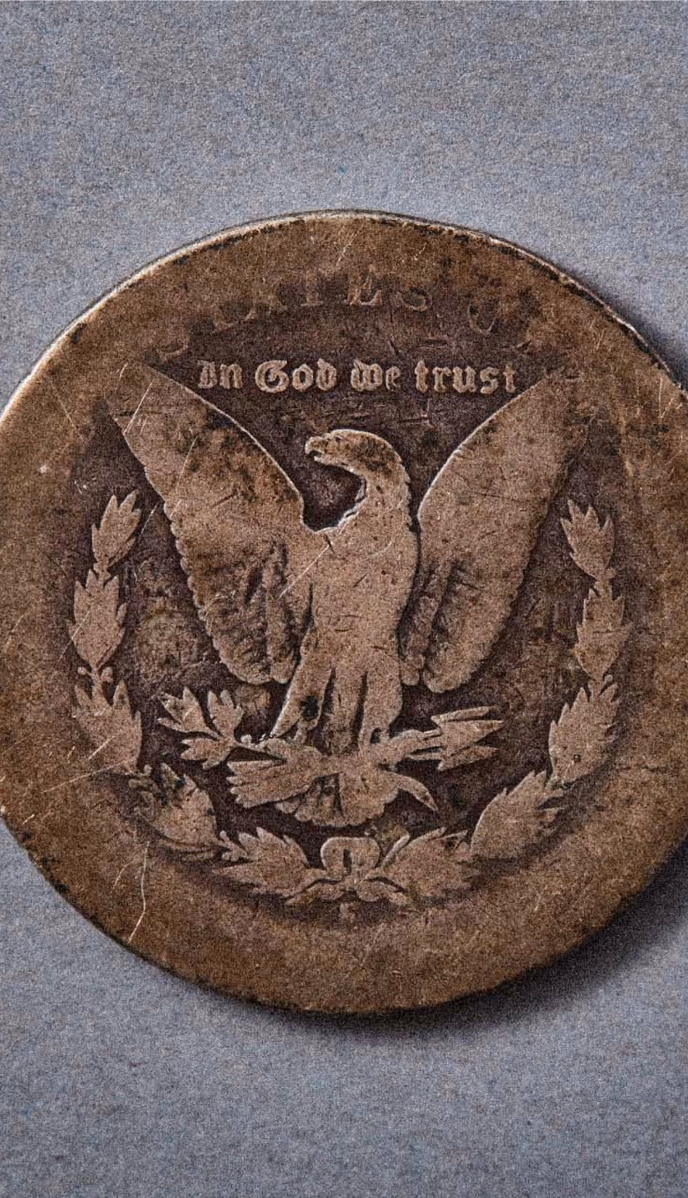 COWBOY GRASS - 31a7eb11fe25d02bb373646aacfa641b3140483e-1482x2580.avif