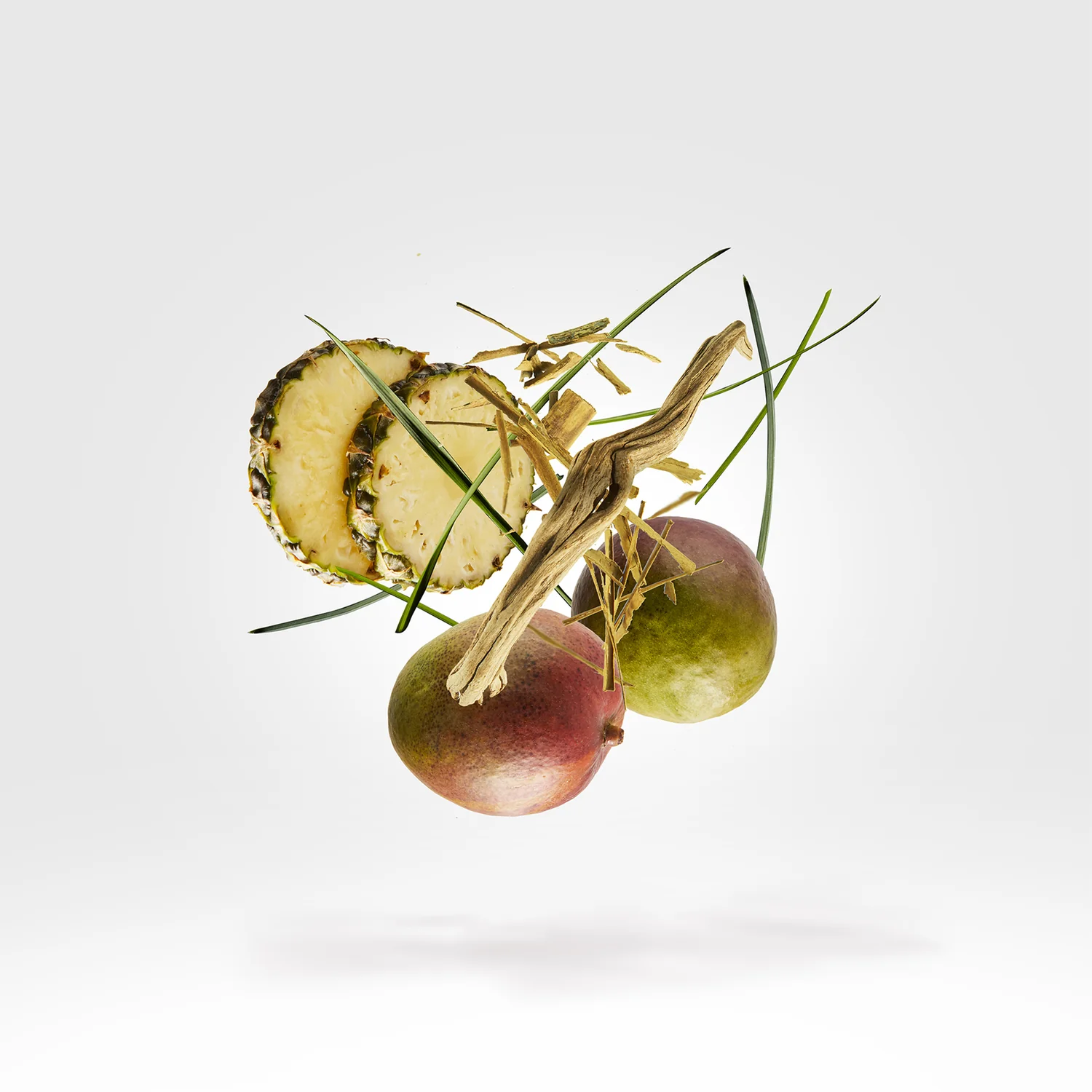 CRUZ DEL SUR II - xerjoff-cruzdelsur2-notes.webp