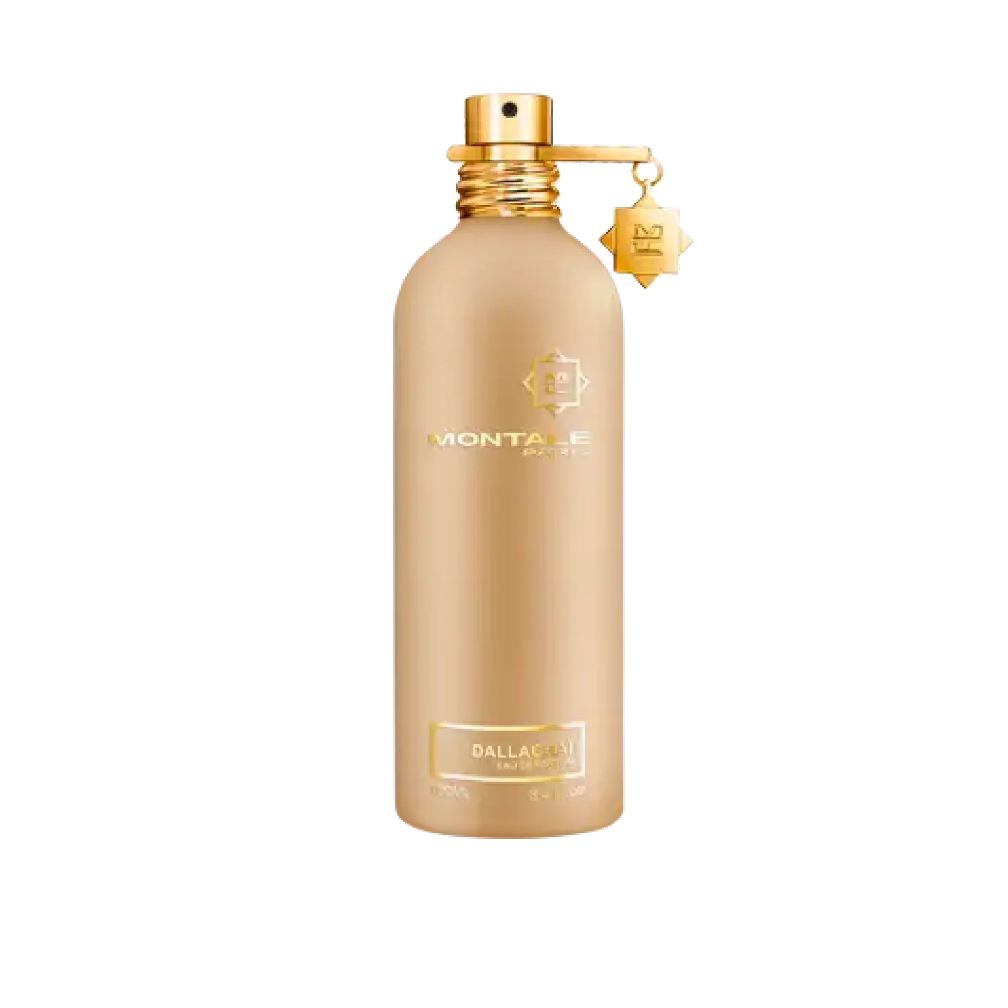 Dallachaï - dallacha__1775325704131_7ke4cxn_02.png