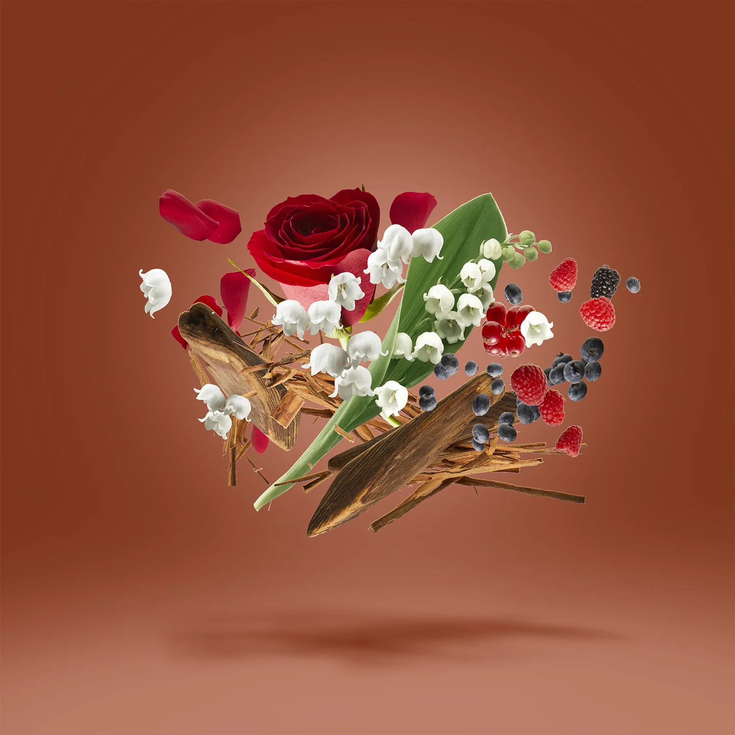 DAMAROSE - xerjoff-damarose-notes.webp