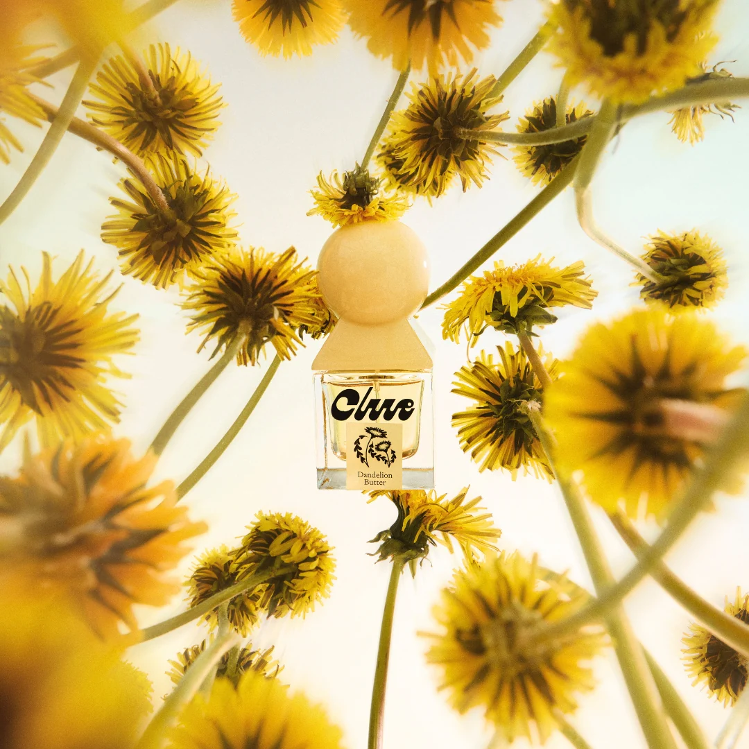 DANDELION BUTTER - Dandelionlifestyle1_1080x.webp