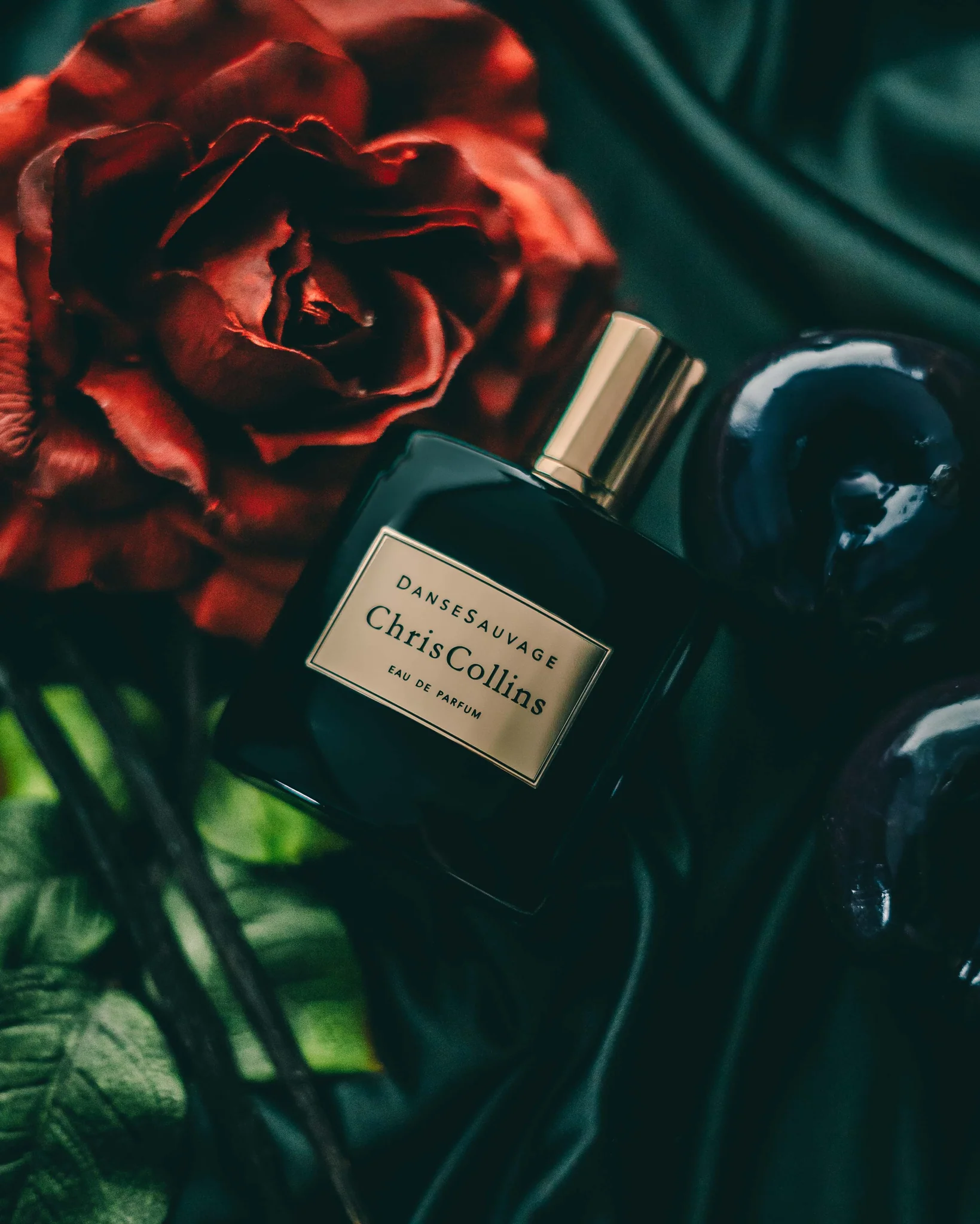 DANSE SAUVAGE - DSC00334-18_1640x2048.webp