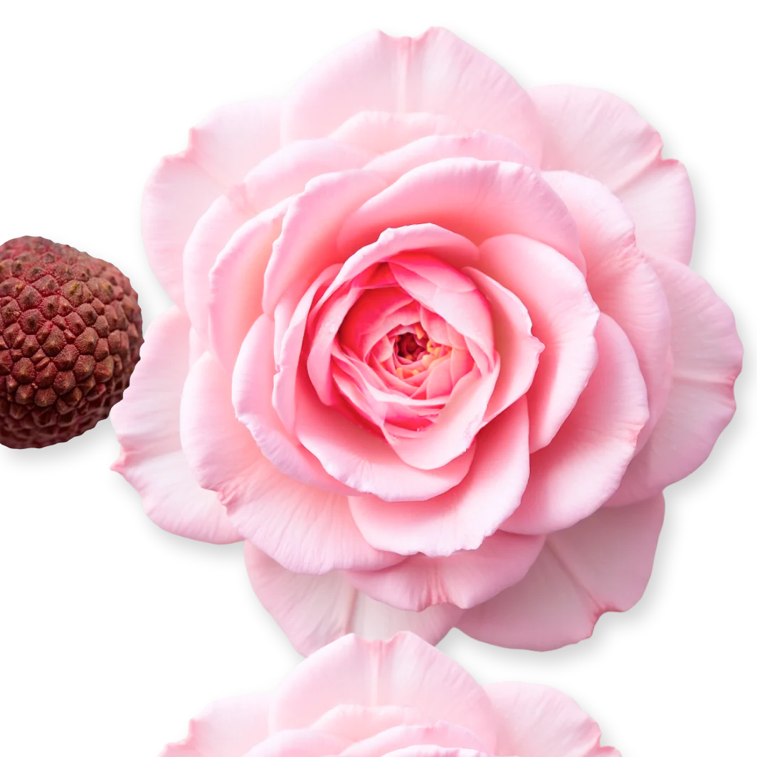 DELINA - DELINA-PERFUME-75-PACK4-1x1_3.webp