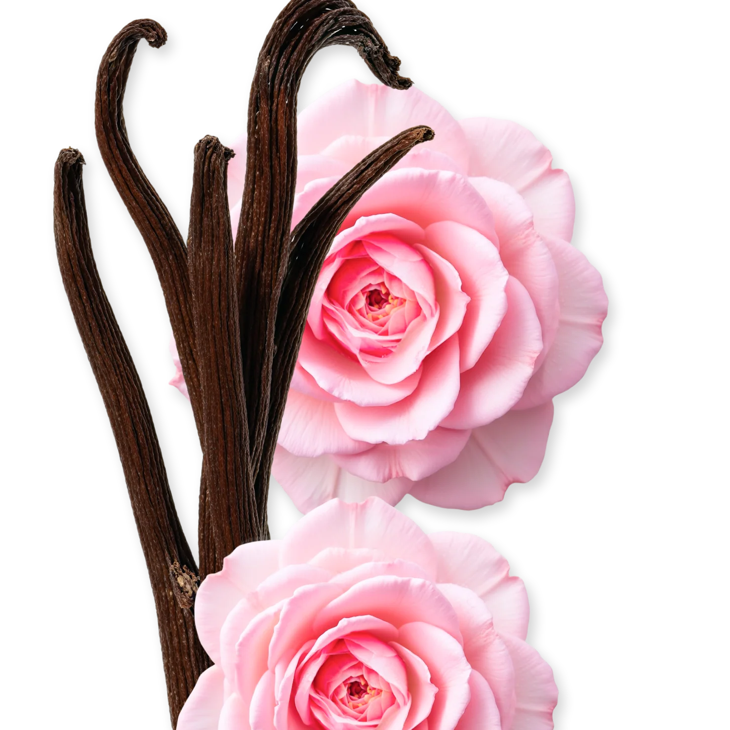 DELINA EXCLUSIF - DELINA-EXCLUSIF-PERFUME-75-PACK4-1x1_1_b2845159-5a51-43db-86d5-f0f9623a24f5.webp