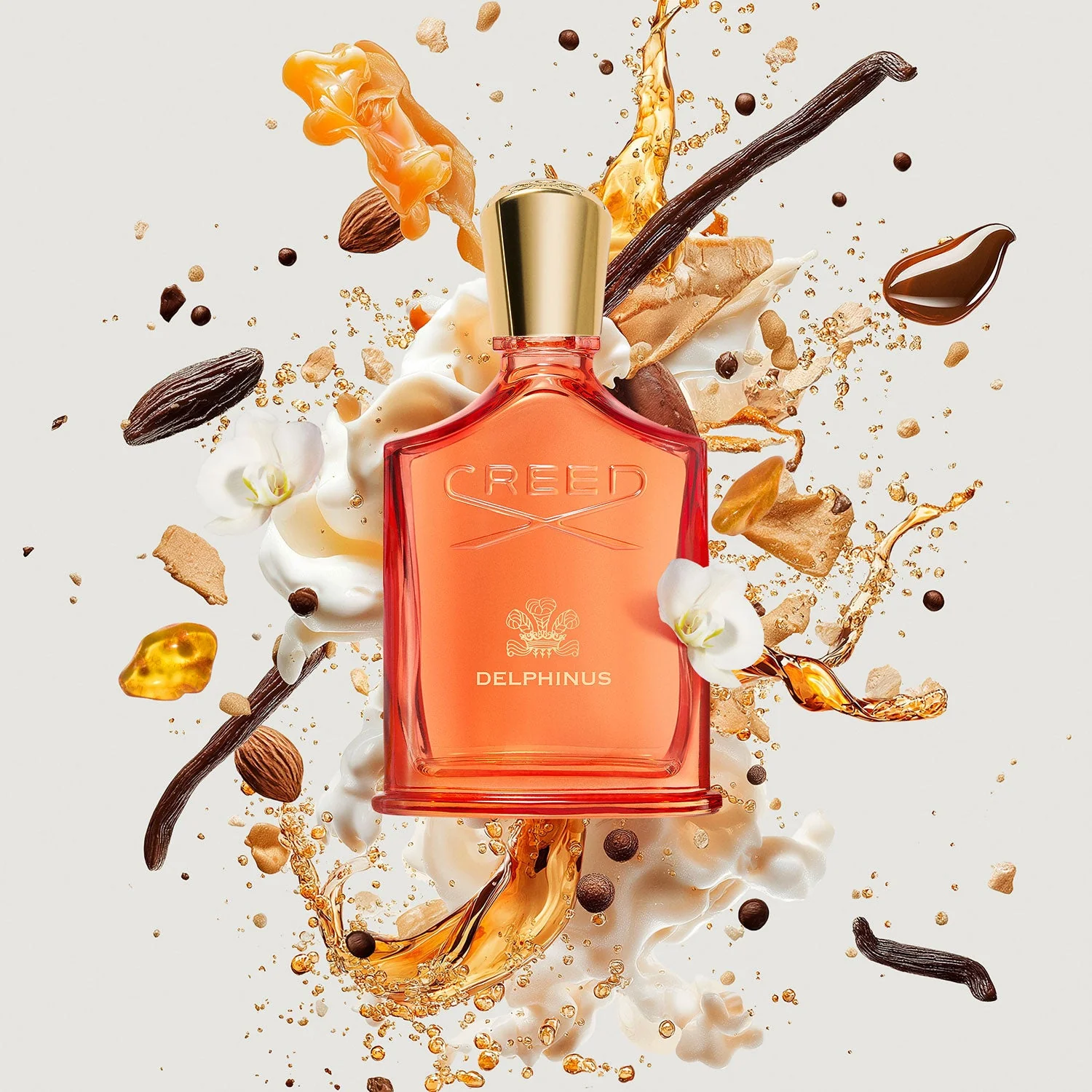 DELPHINUS - delphinus-ingredient.webp