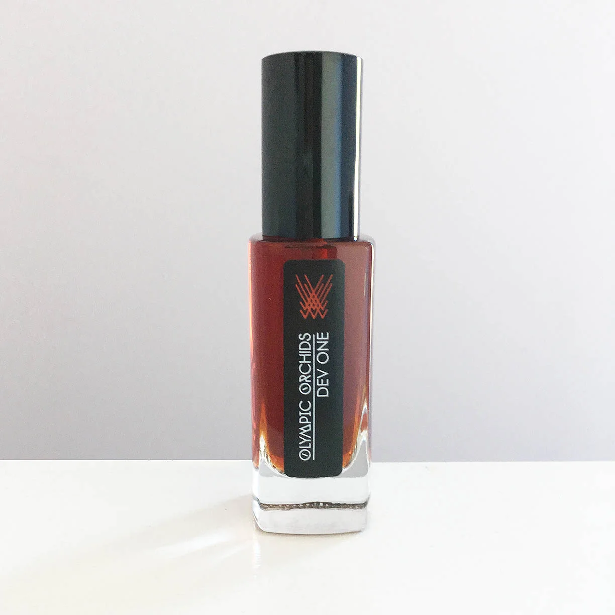 DEV ONE - Dev-One-2017.jpg