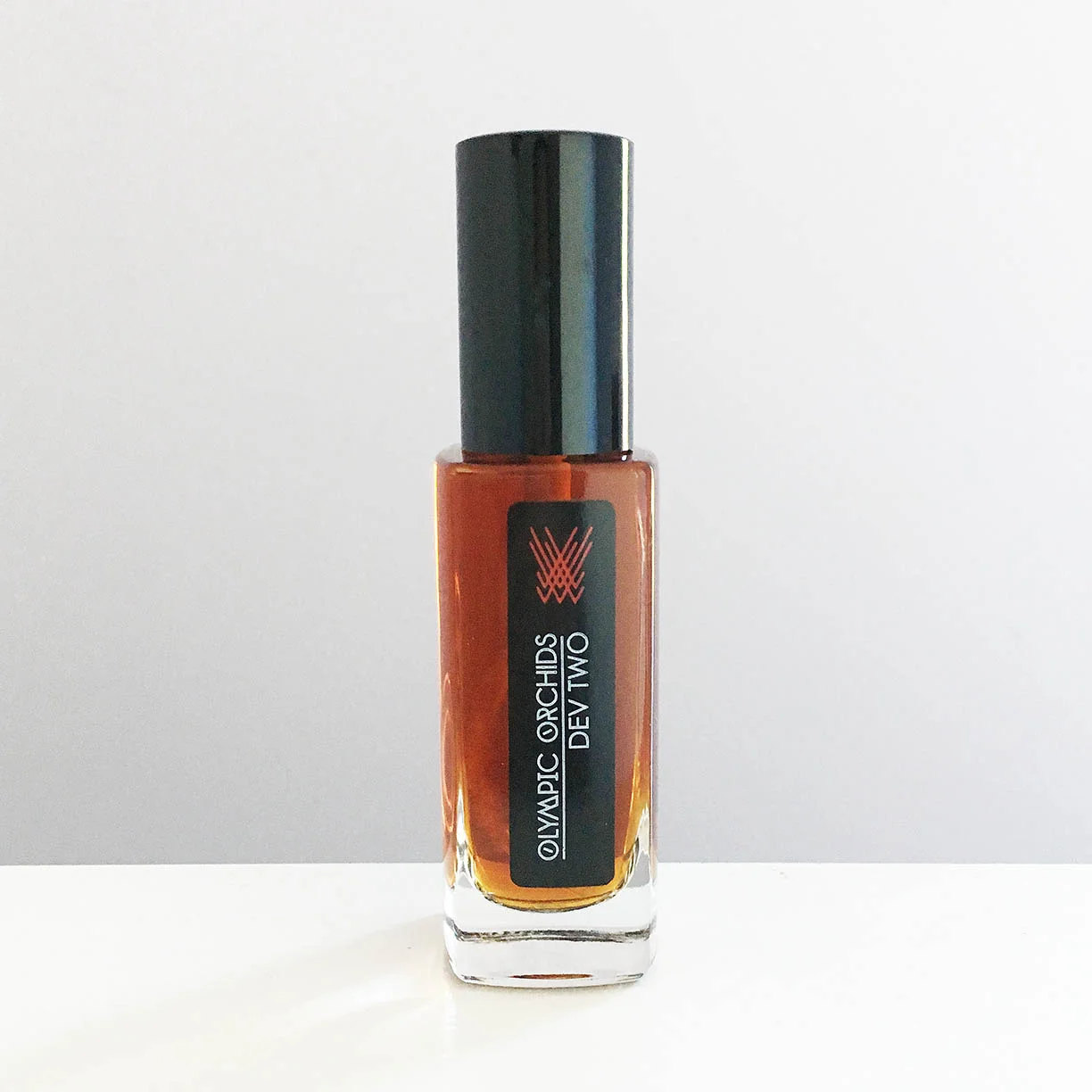 DEV TWO - Dev-Two-2017.jpg