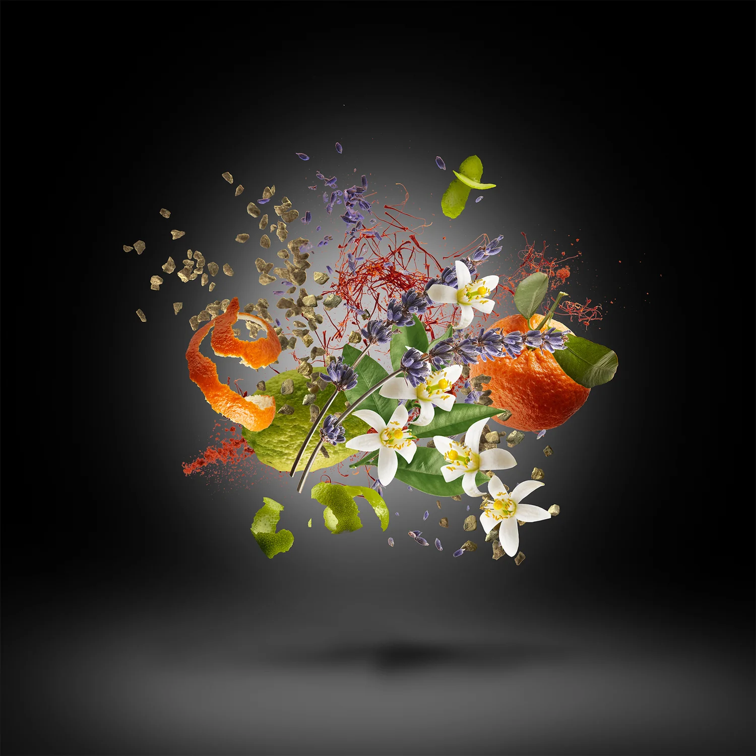 DURAN DURAN BLACK MOONLIGHT - xerjoff-blackmoonlight-notes.webp