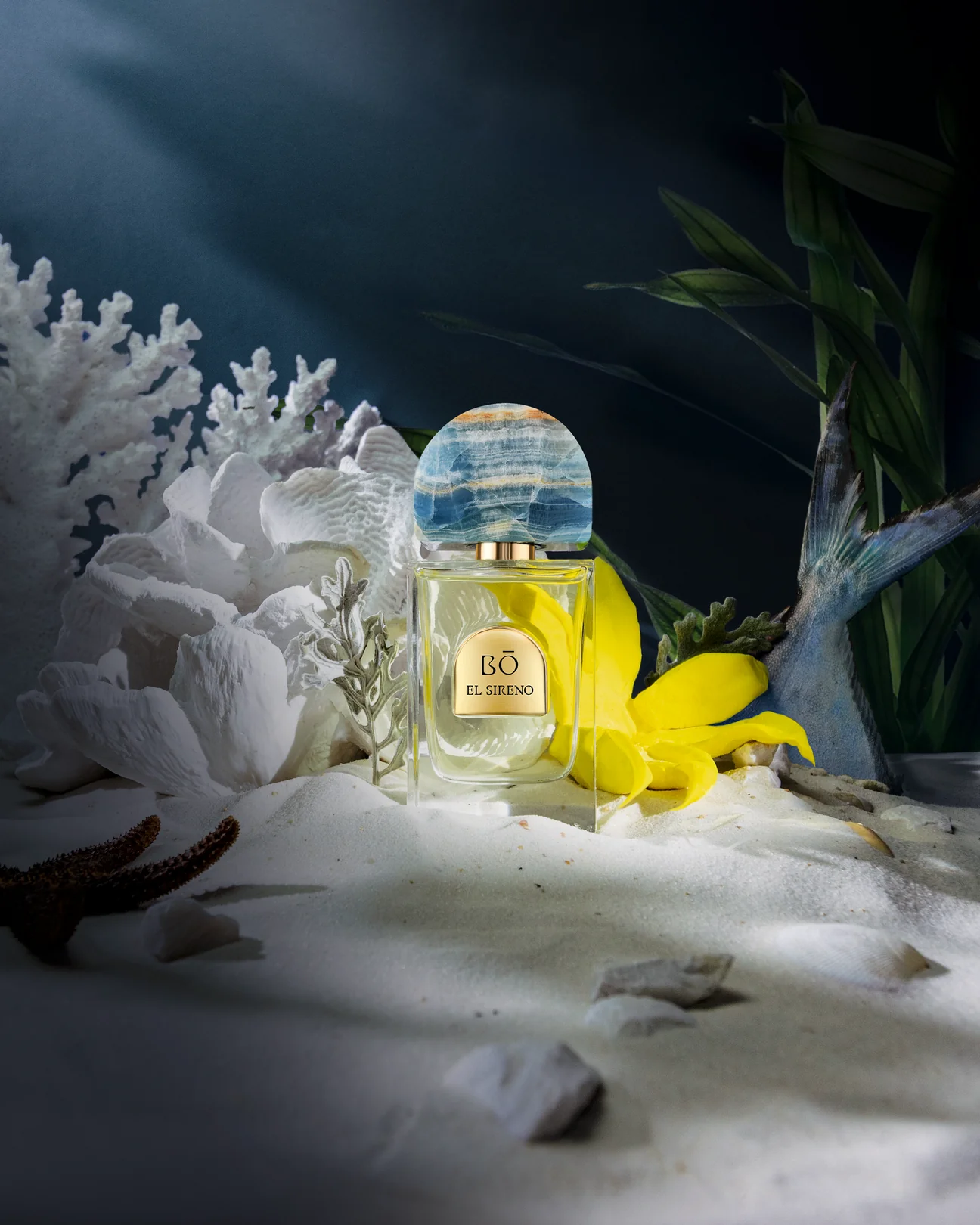 EL SIRENO - ElSirenoTHEWALKv4_1296x.webp