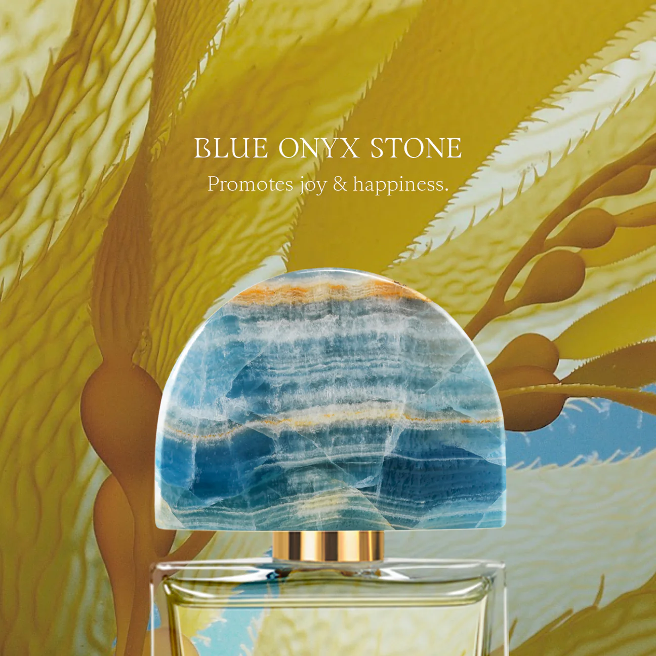 EL SIRENO - SIRCap_1296x.webp