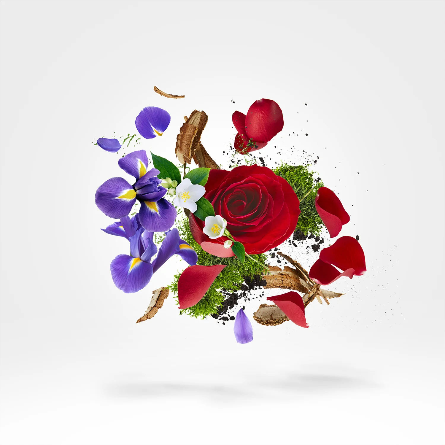 ELLE - xerjoff-elle-notes.webp