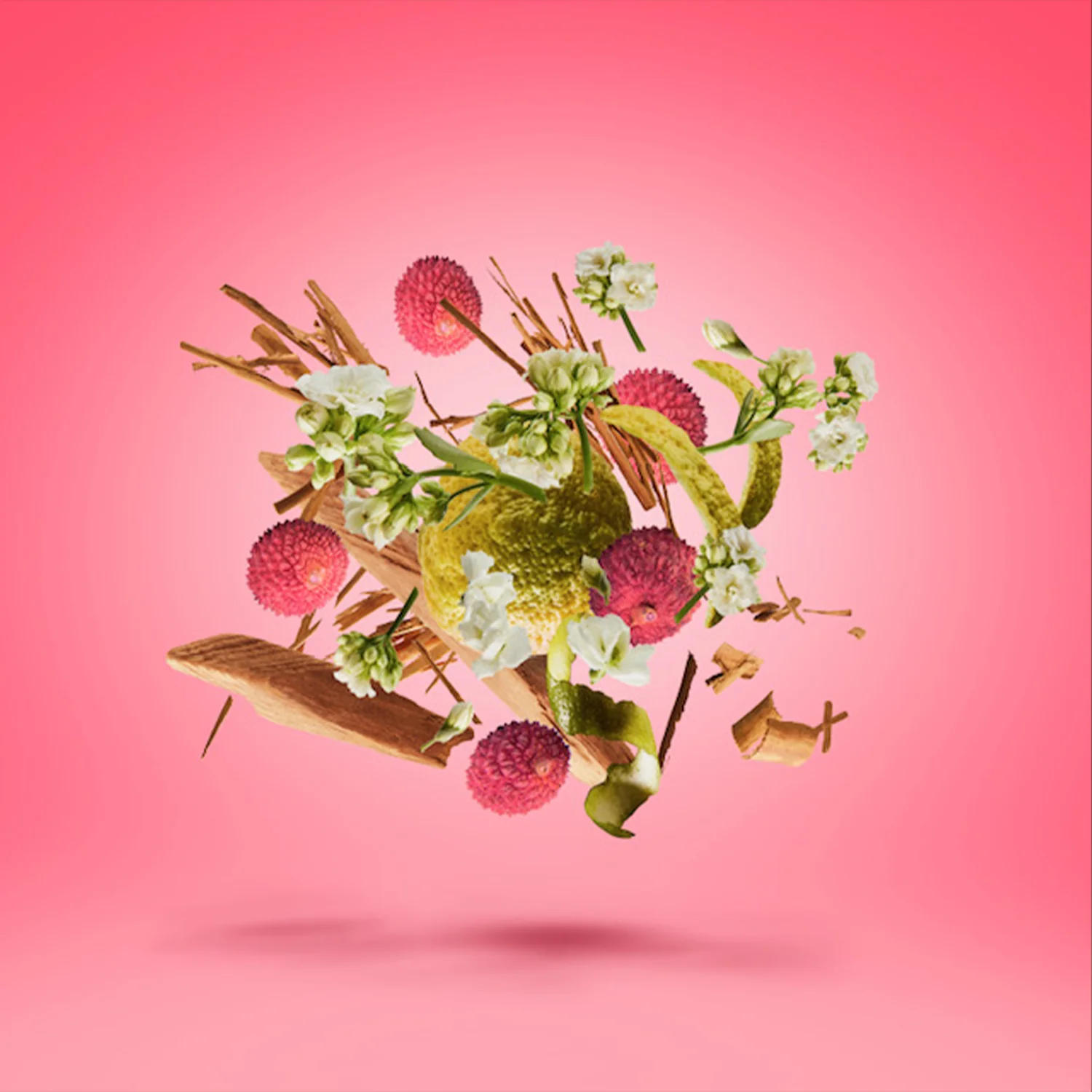 ELLE ANNIVERSARY - xerjoff-elleanniversary-notes.webp