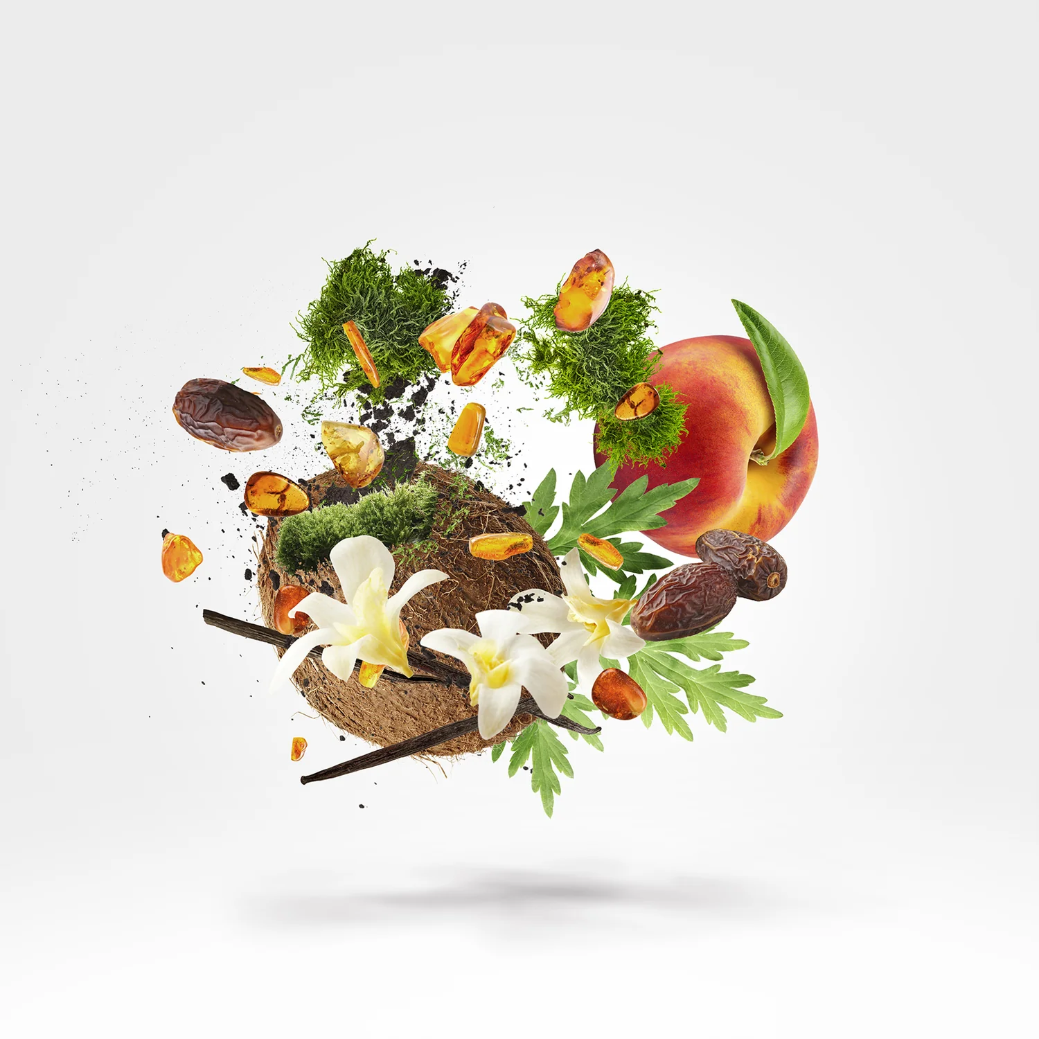 EMERALD STAR - xerjoff-emeraldstar-notes.webp