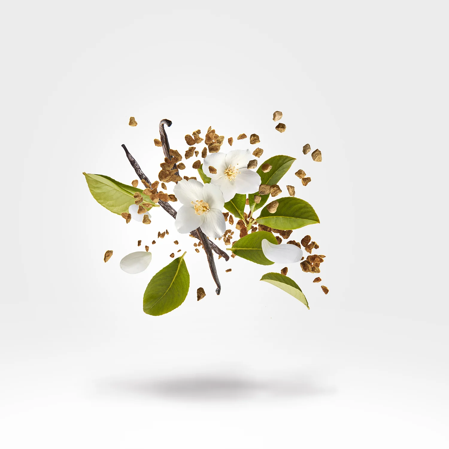 EMPIRYAN - xerjoff-empiryan-notes.webp