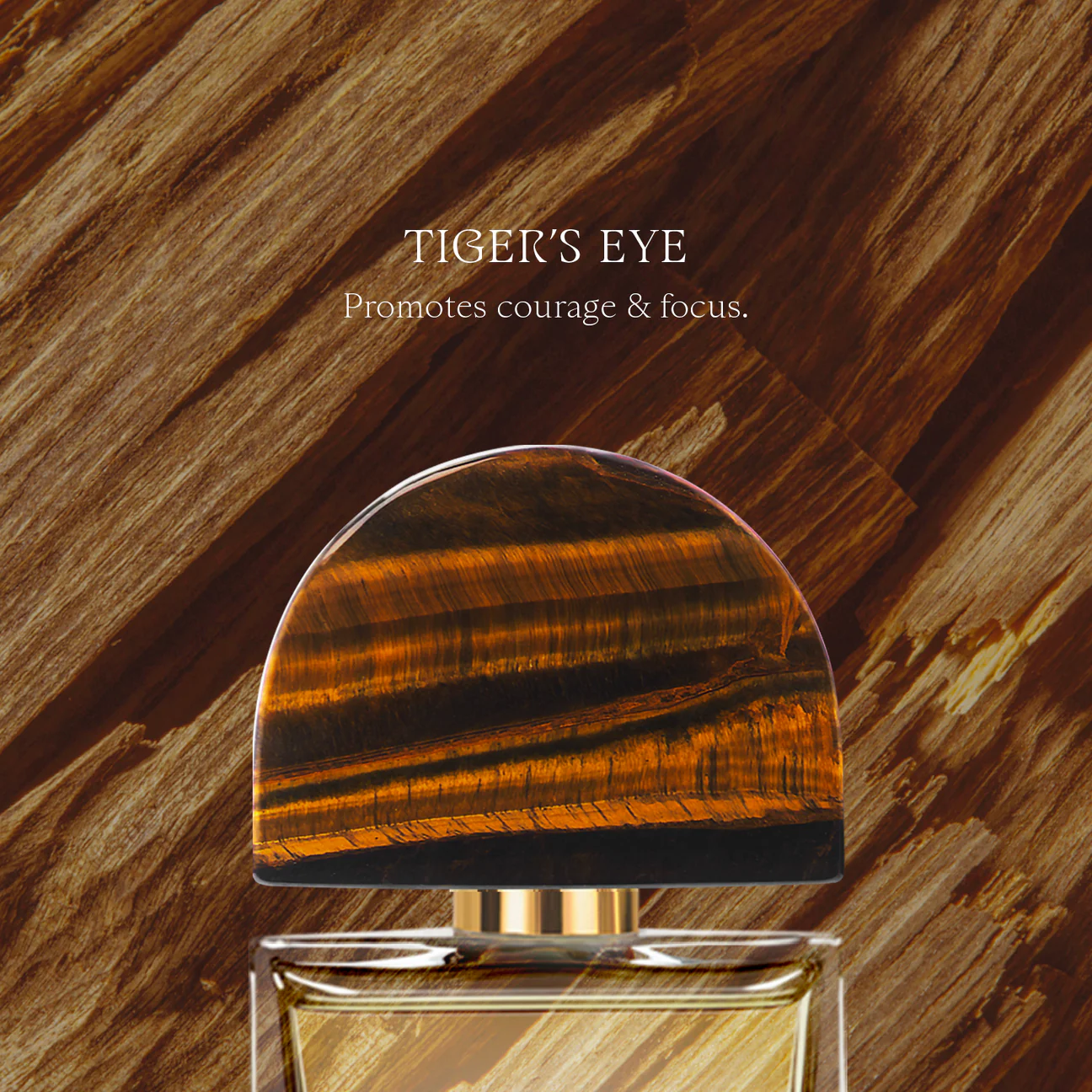 ESPÍRITU - ESPCap_1296x.webp