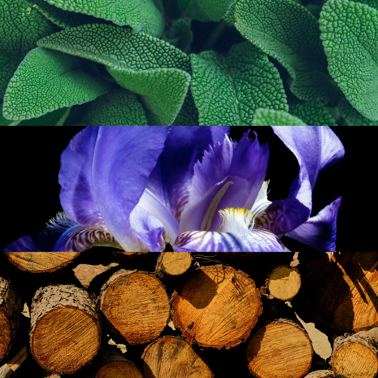 ESPÍRITU - ESPIngredients_1296x.webp