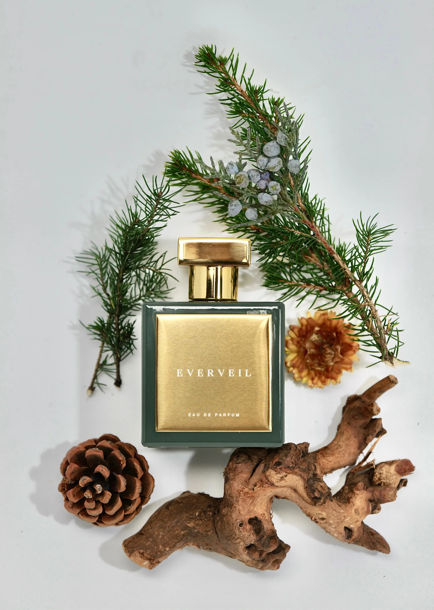 Everveil - 8855D5D2-6D2F-4E90-BC92-5B3E377A6B56.webp