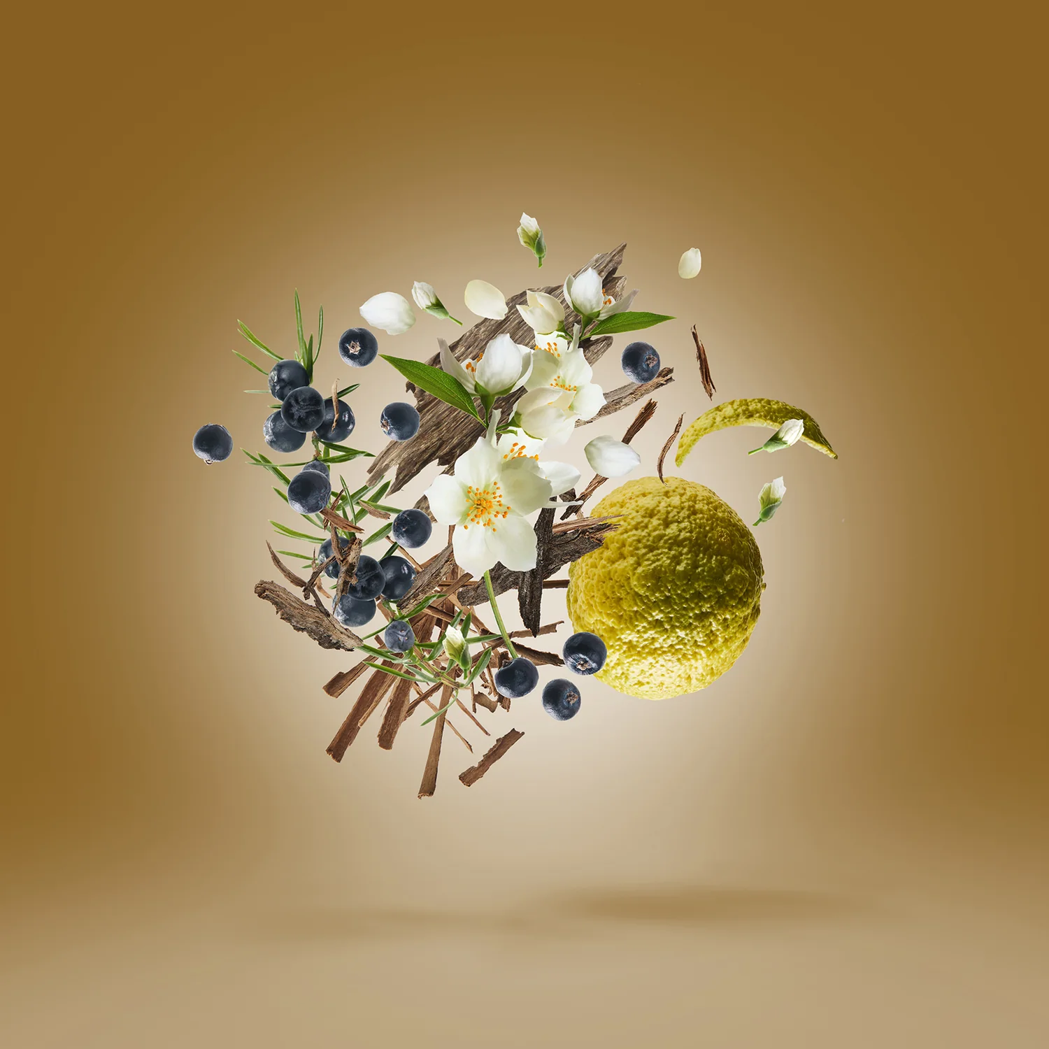 FARS - xerjoff-fars-notes.webp