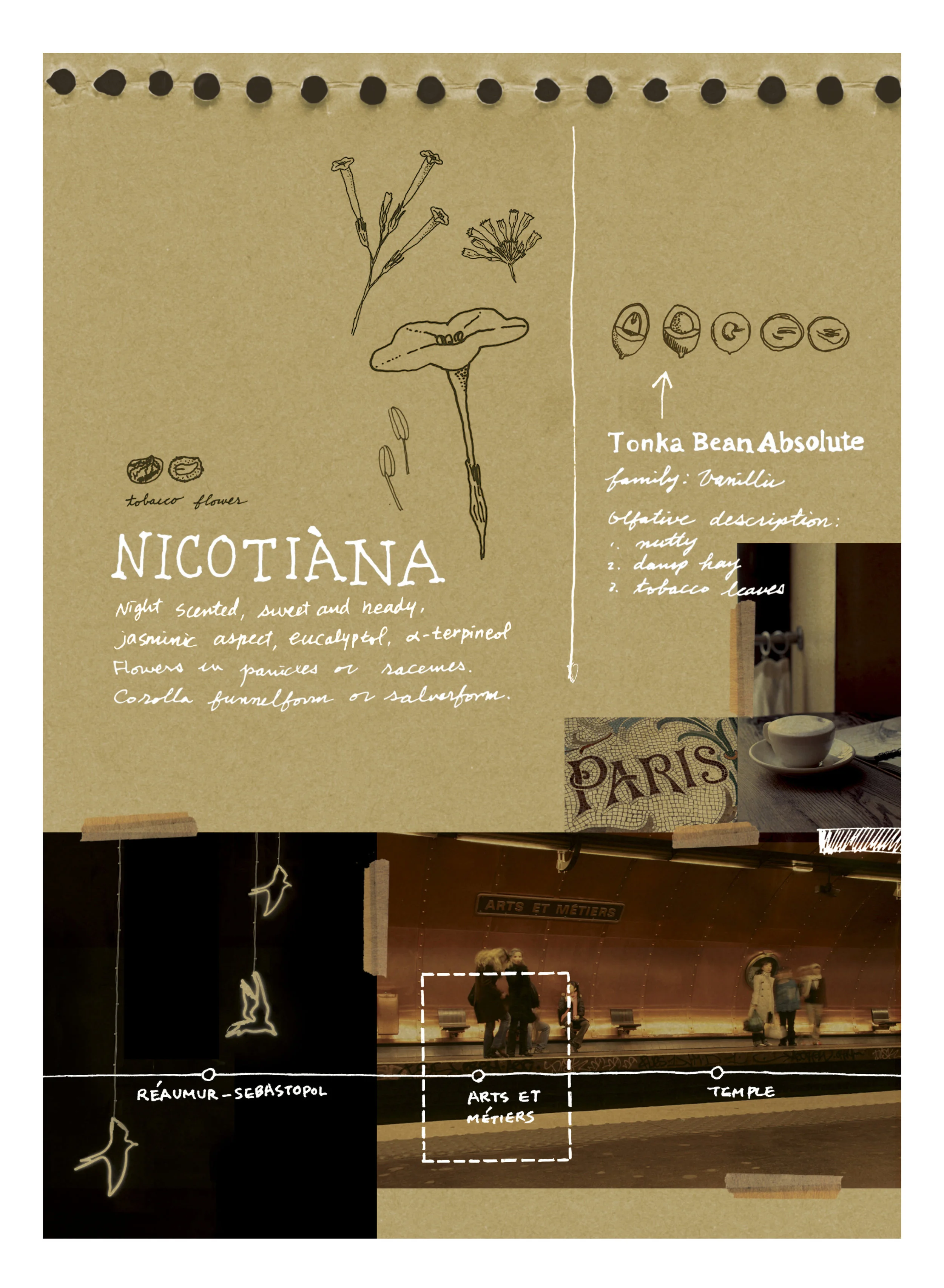 FIELD NOTES FROM PARIS - Ineke-Text-vol6_F_2.webp