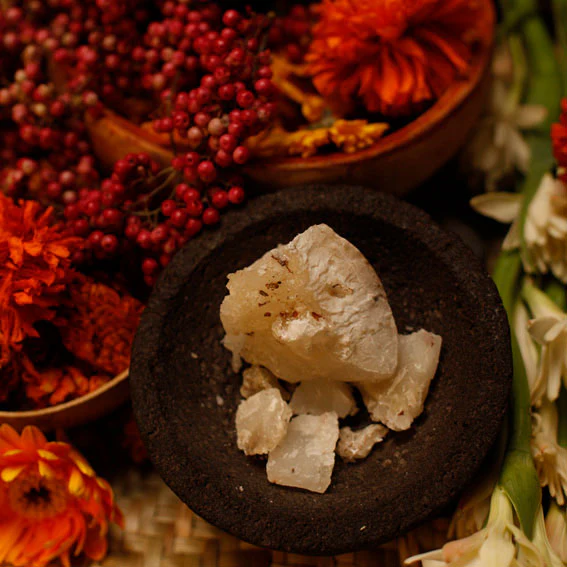 FLOR Y CANTO - 8.-florycanto1_1024x1024@2x.webp