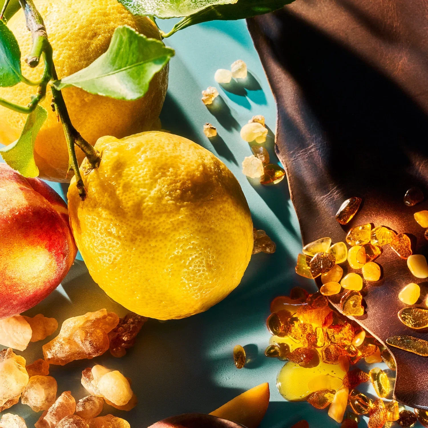 Fortnum & Mason - fortnum-mason-parfum-travel-size-roja-parfums-864058.webp