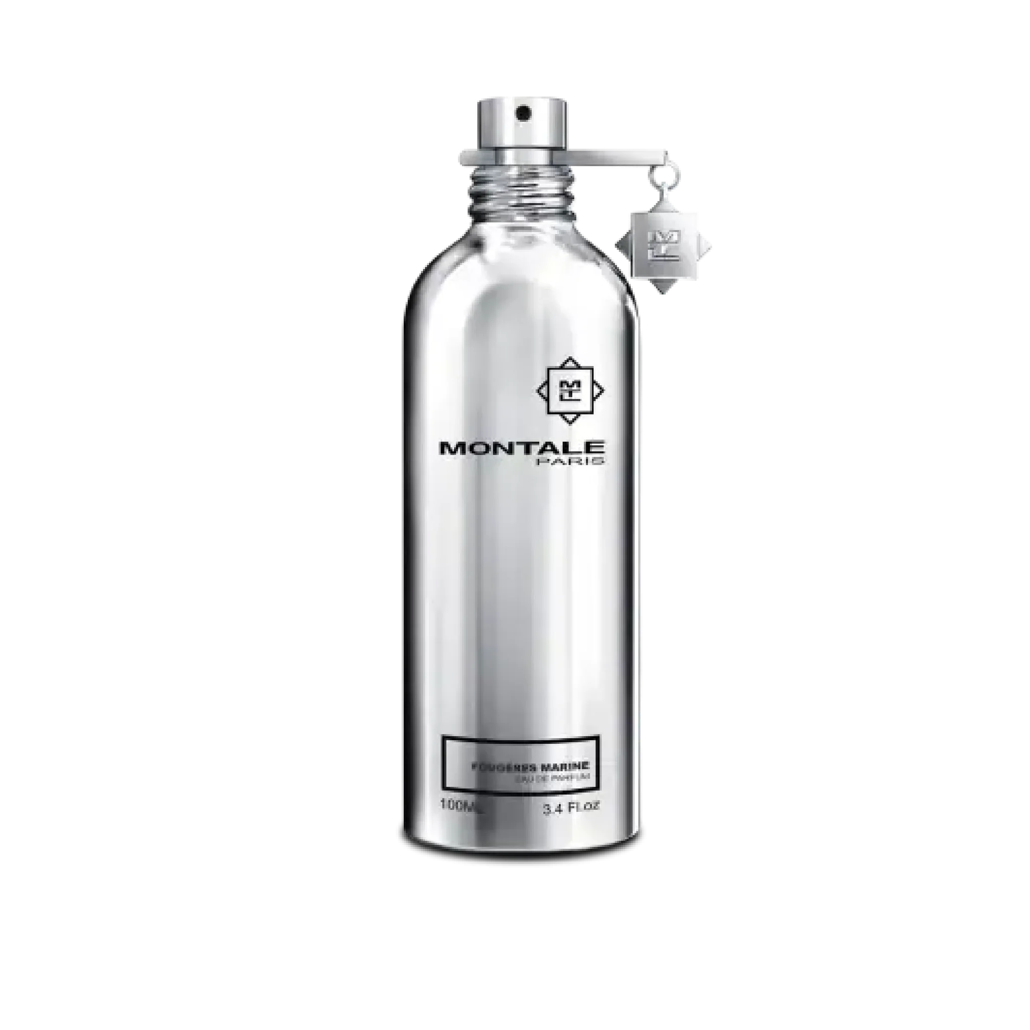 Fougères Marine - foug_res_marine_1775326633658_gdjo1zc.png