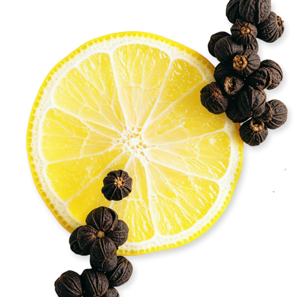 GALLOWAY - GALLOWAY-PERFUME-125-PACK4-1x1_1_f7173263-7275-4e48-9067-87f5c912c683.webp