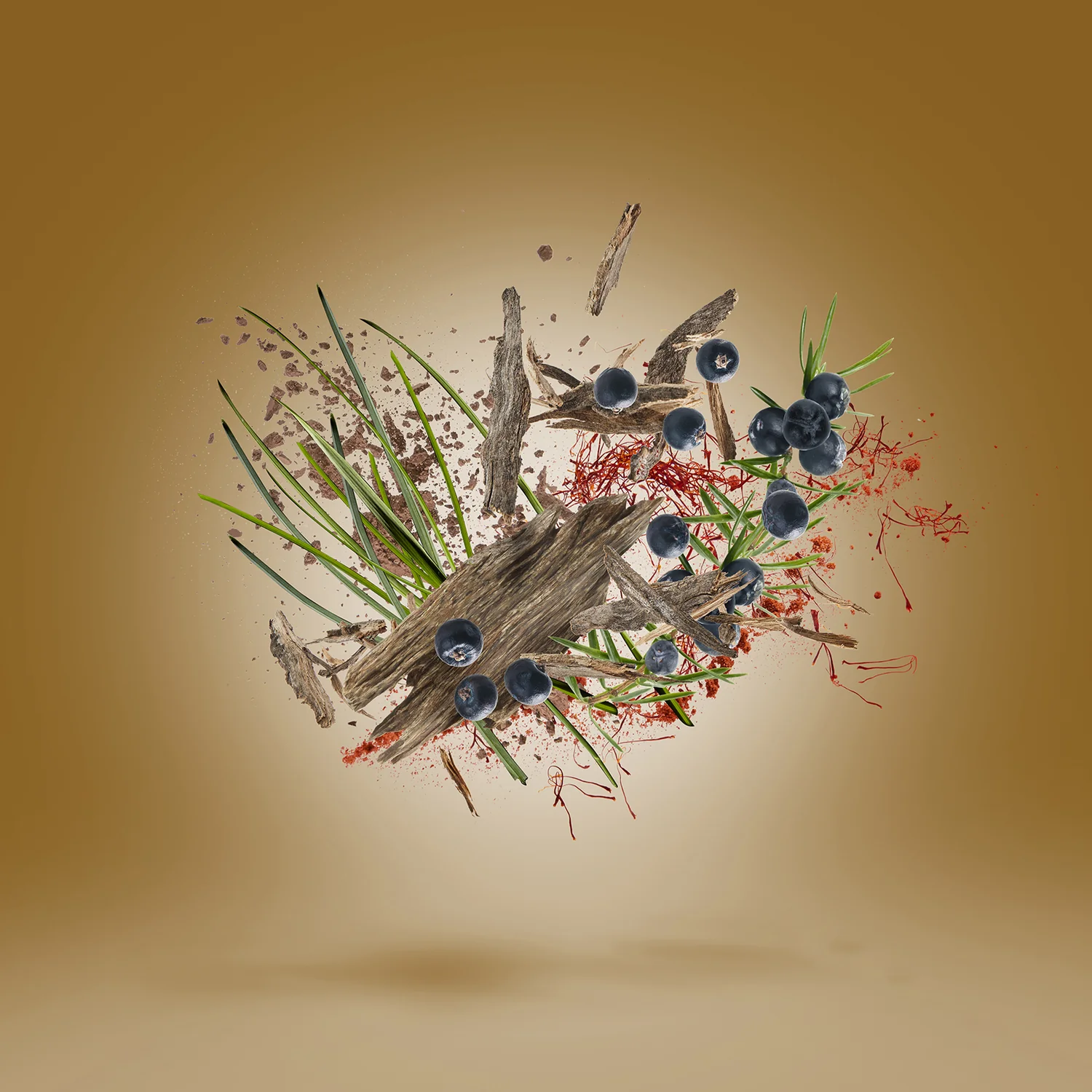 GAO - xerjoff-gao-notes.webp