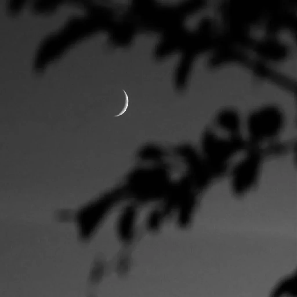 GOD AND MOON - GOD-AND-MOON111.webp