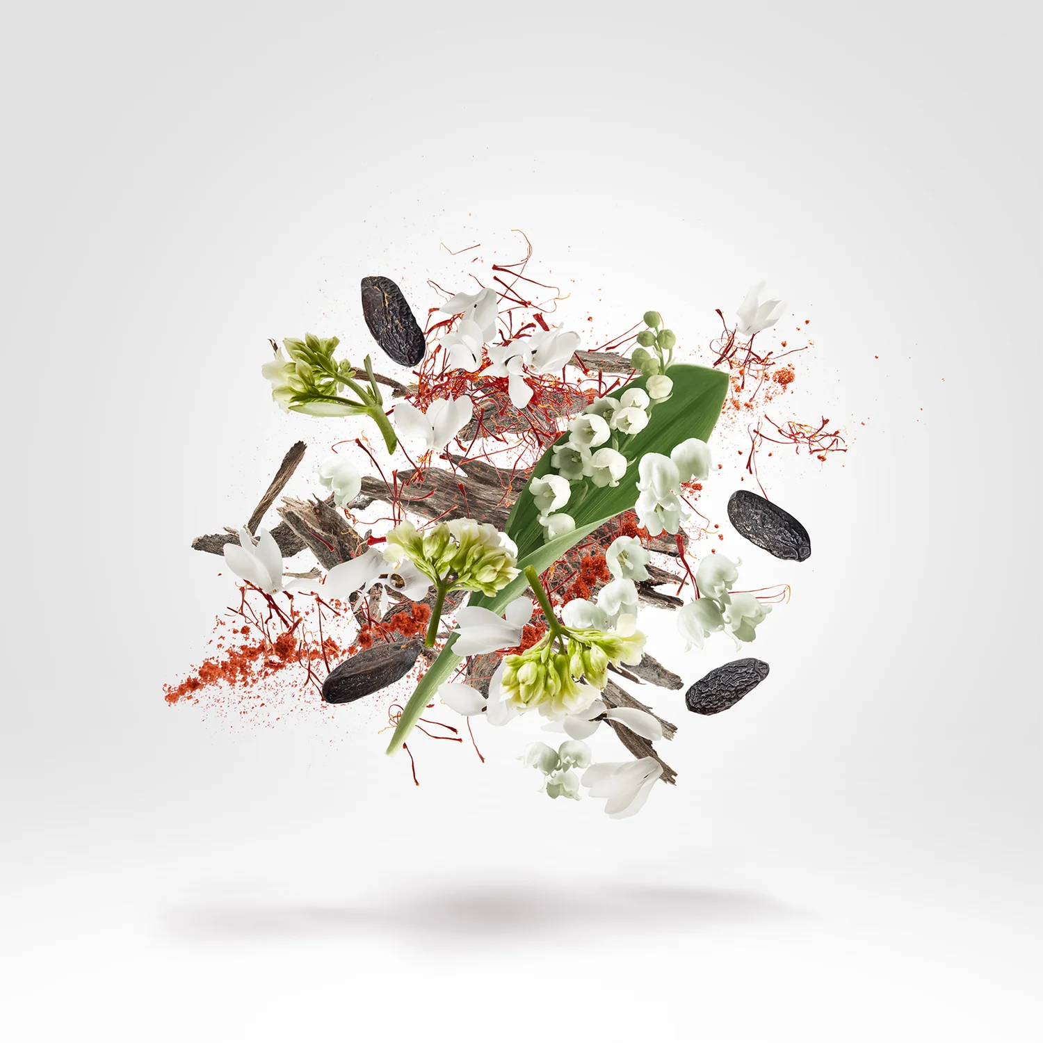 GOETHEPLATZ - xerjoff-goetheplatz-notes.webp