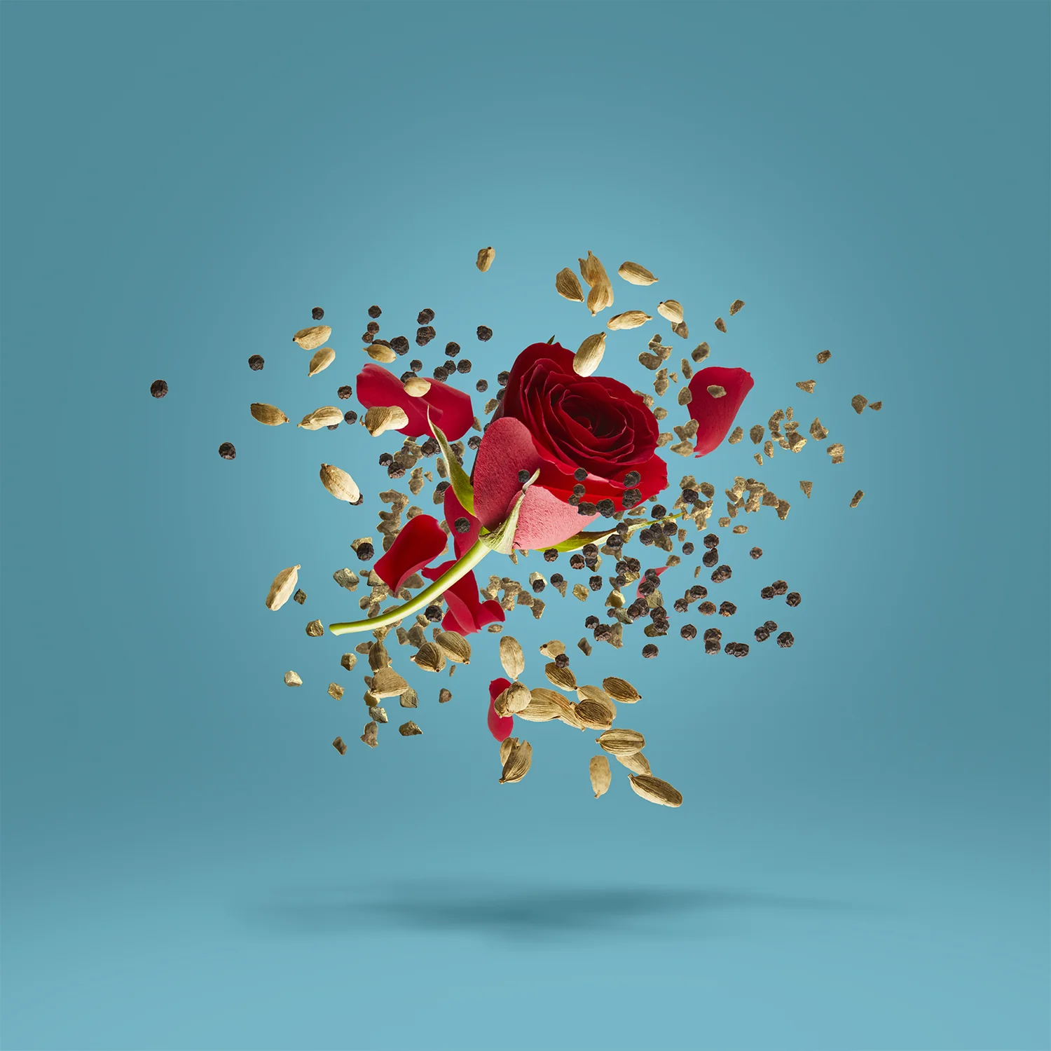 GROOVE XCAPE - xerjoff-groovexvape-notes.webp