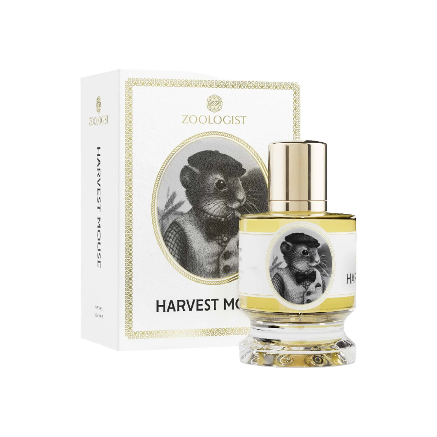 HARVEST MOUSE - zoologist-harvest-mouse-merged-3-1767196806327.png