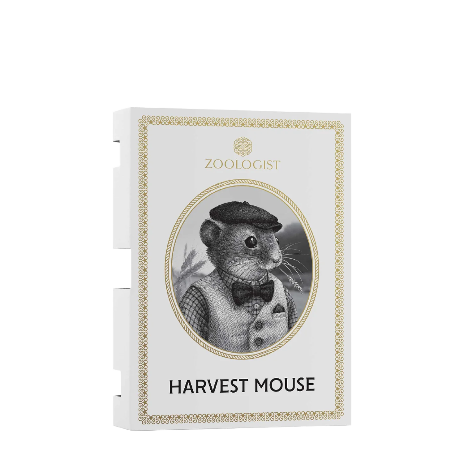 HARVEST MOUSE - zoologist-harvest-mouse-merged-7-1767196851955.png