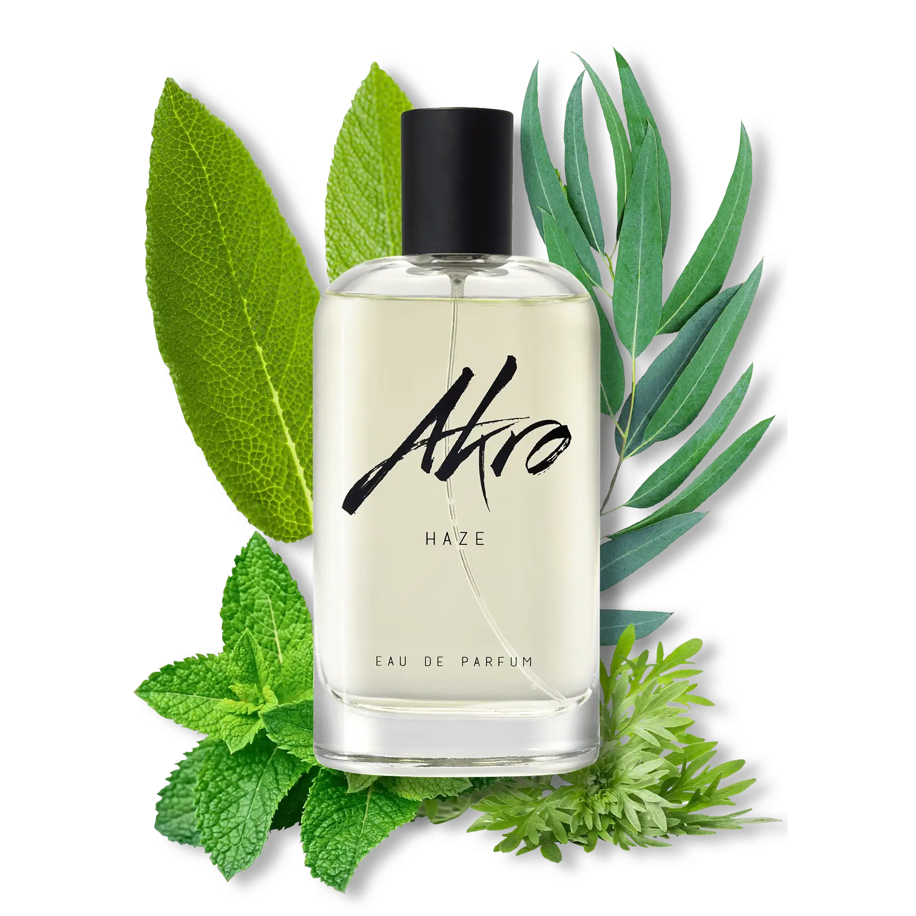 HAZE - AK-OVERLAY-INGREDIENTS-WEBSITE-HAZE-min_2000x.webp