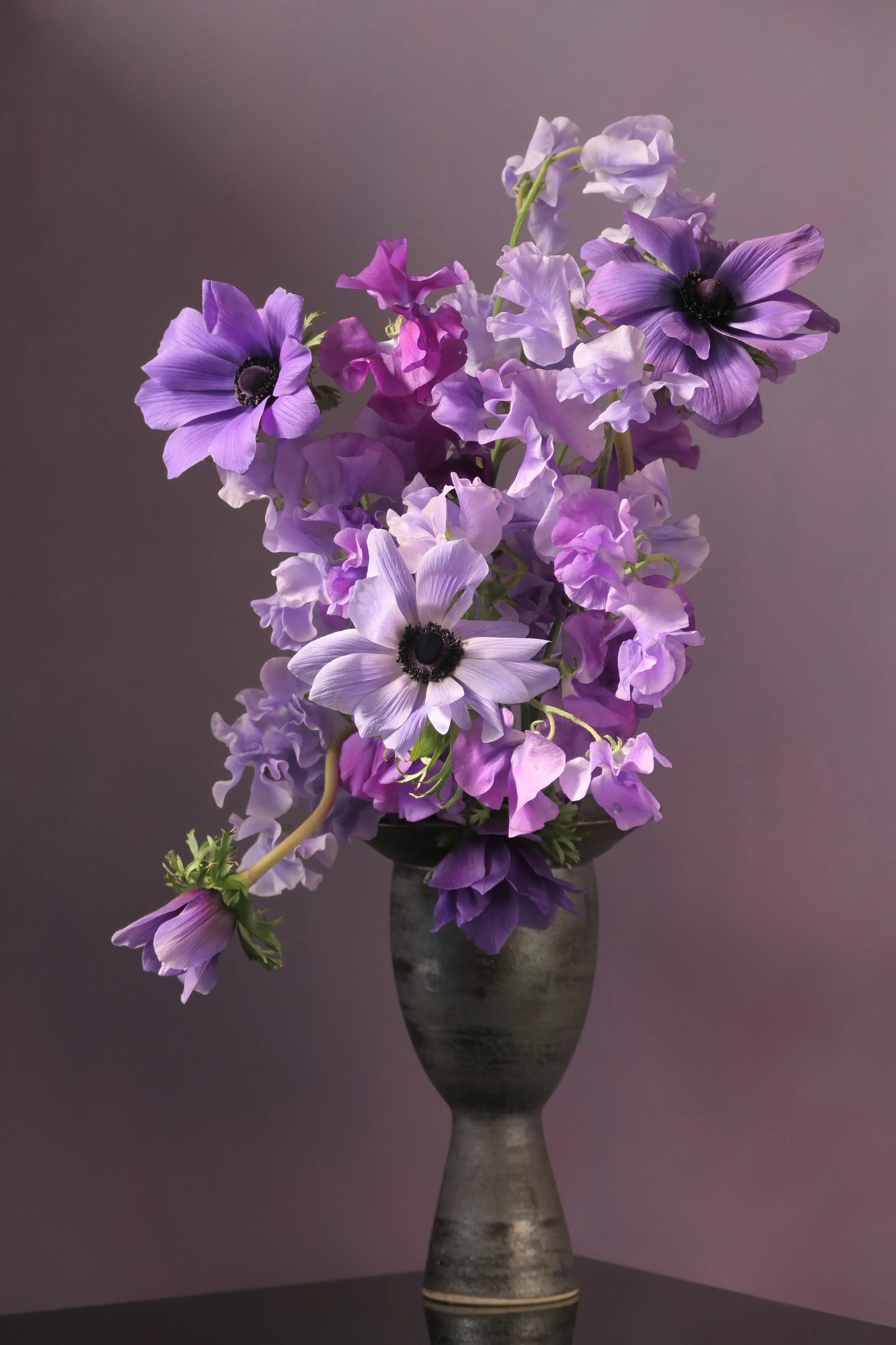 HIMITSU VIOLETS - L2213315.webp