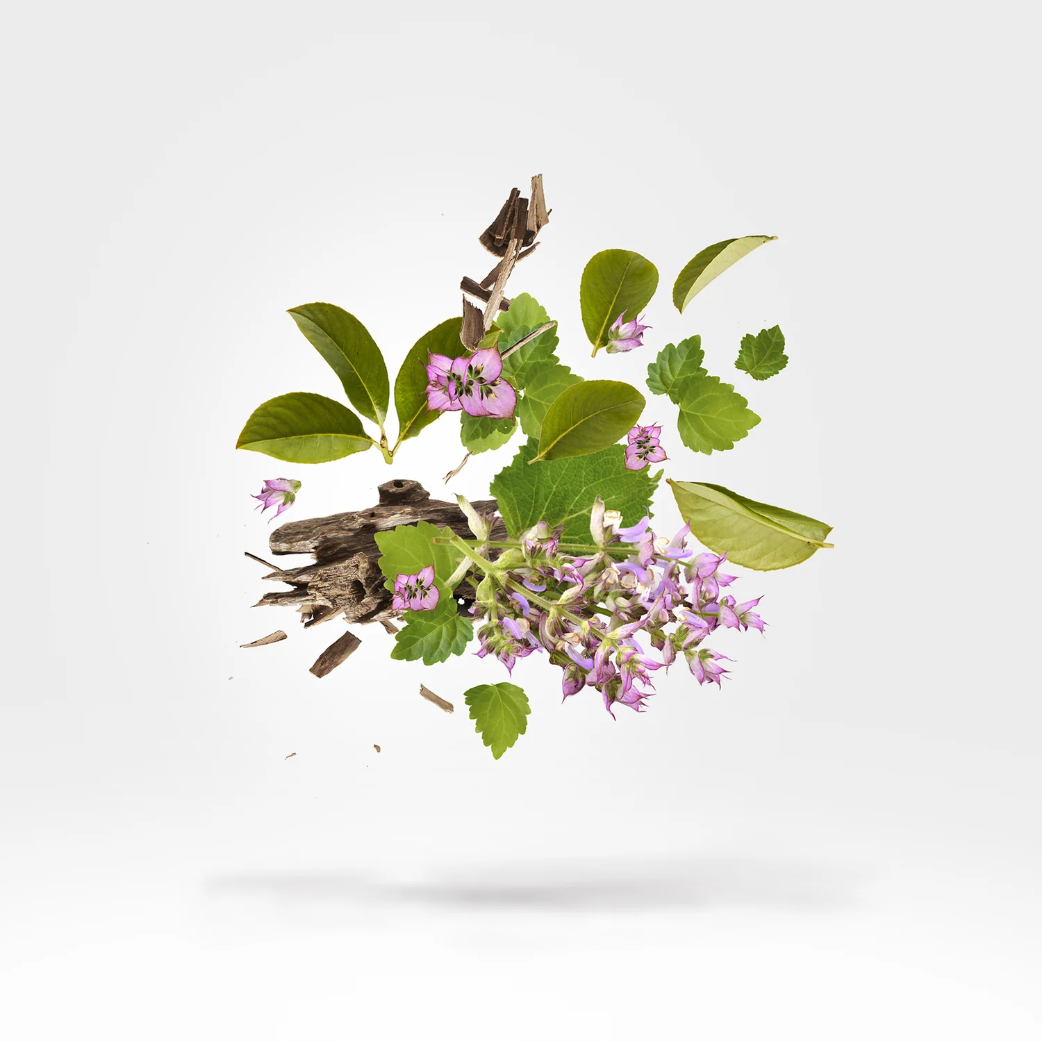 HOLYSM - xerjoff-holysm-notes.webp