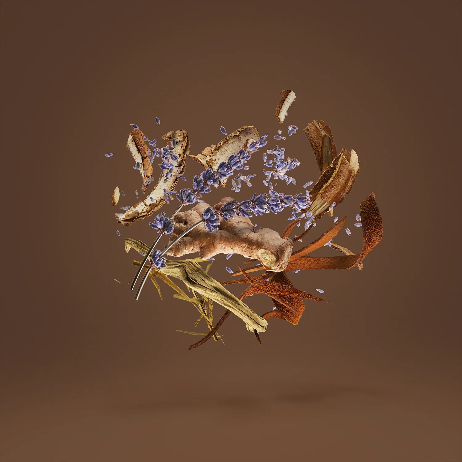 HOMME - xerjoff-homme-notes.webp