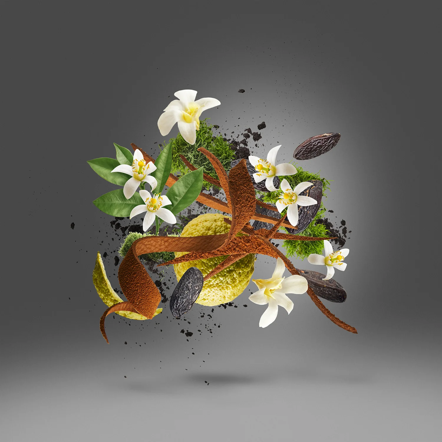 HOMME ANNIVERSARY GIFT SET - xerjoff-hommeanniversary-notes.webp