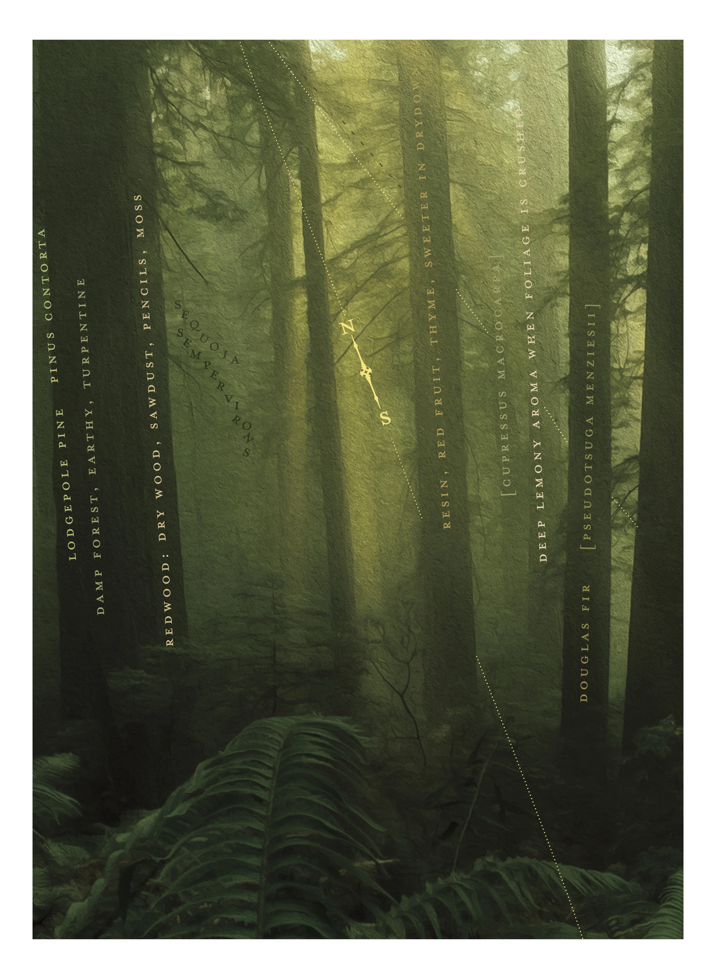 IDYLLWILD - Ineke-Text-vol6_I_2.webp