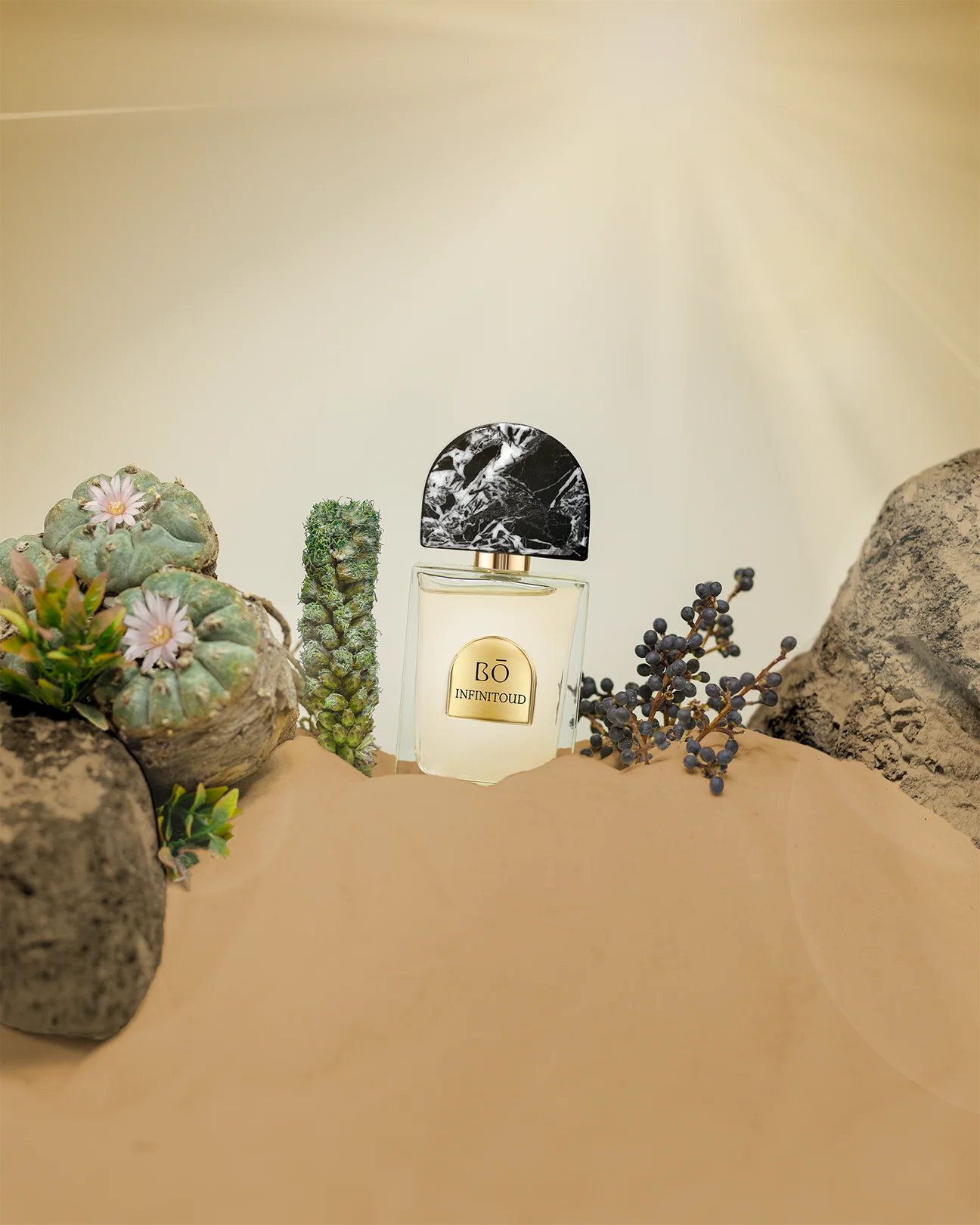 INFINITOUD - InfinitoudTHEWALKv4copy_1296x.webp